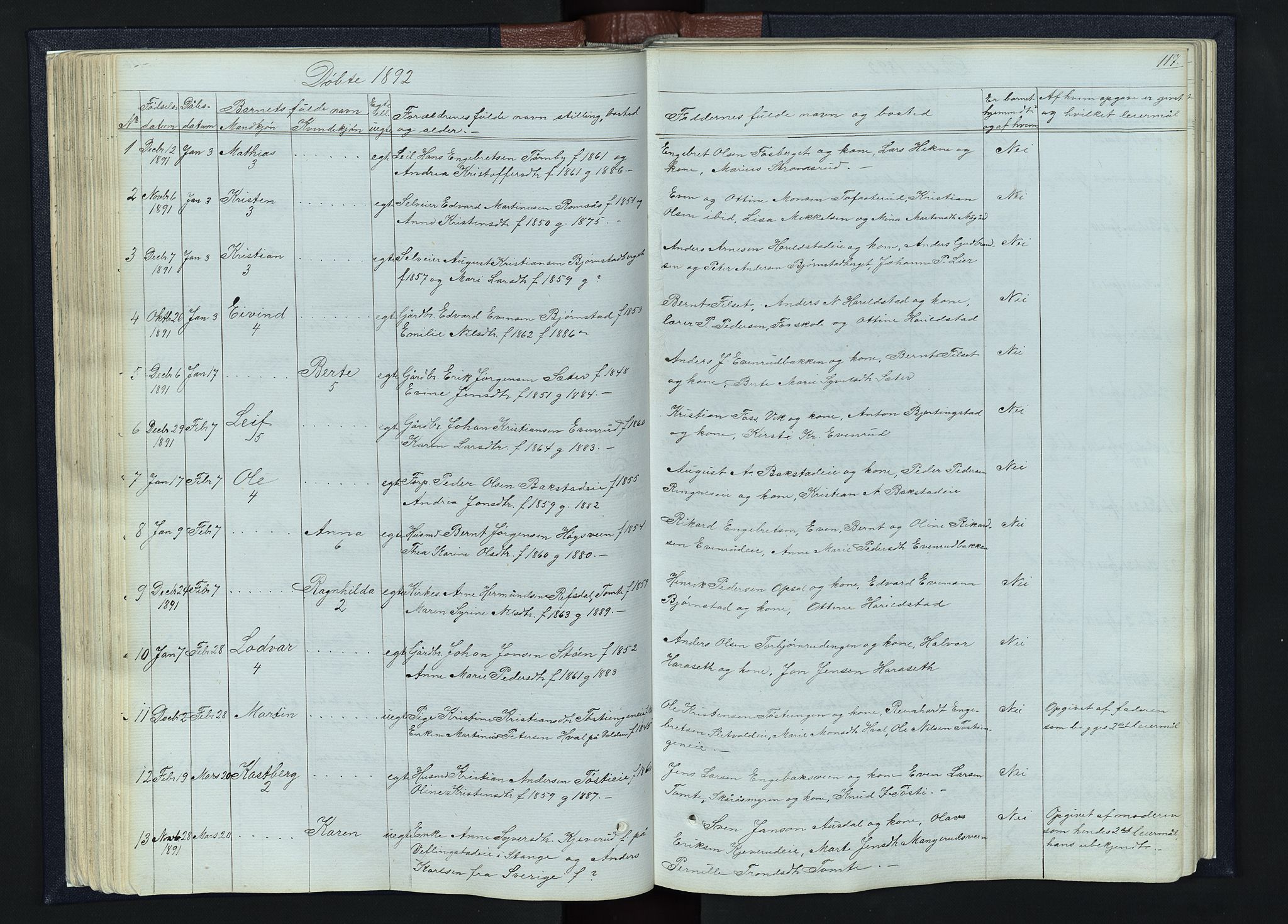 Romedal prestekontor, SAH/PREST-004/L/L0010: Parish register (copy) no. 10, 1860-1895, p. 117