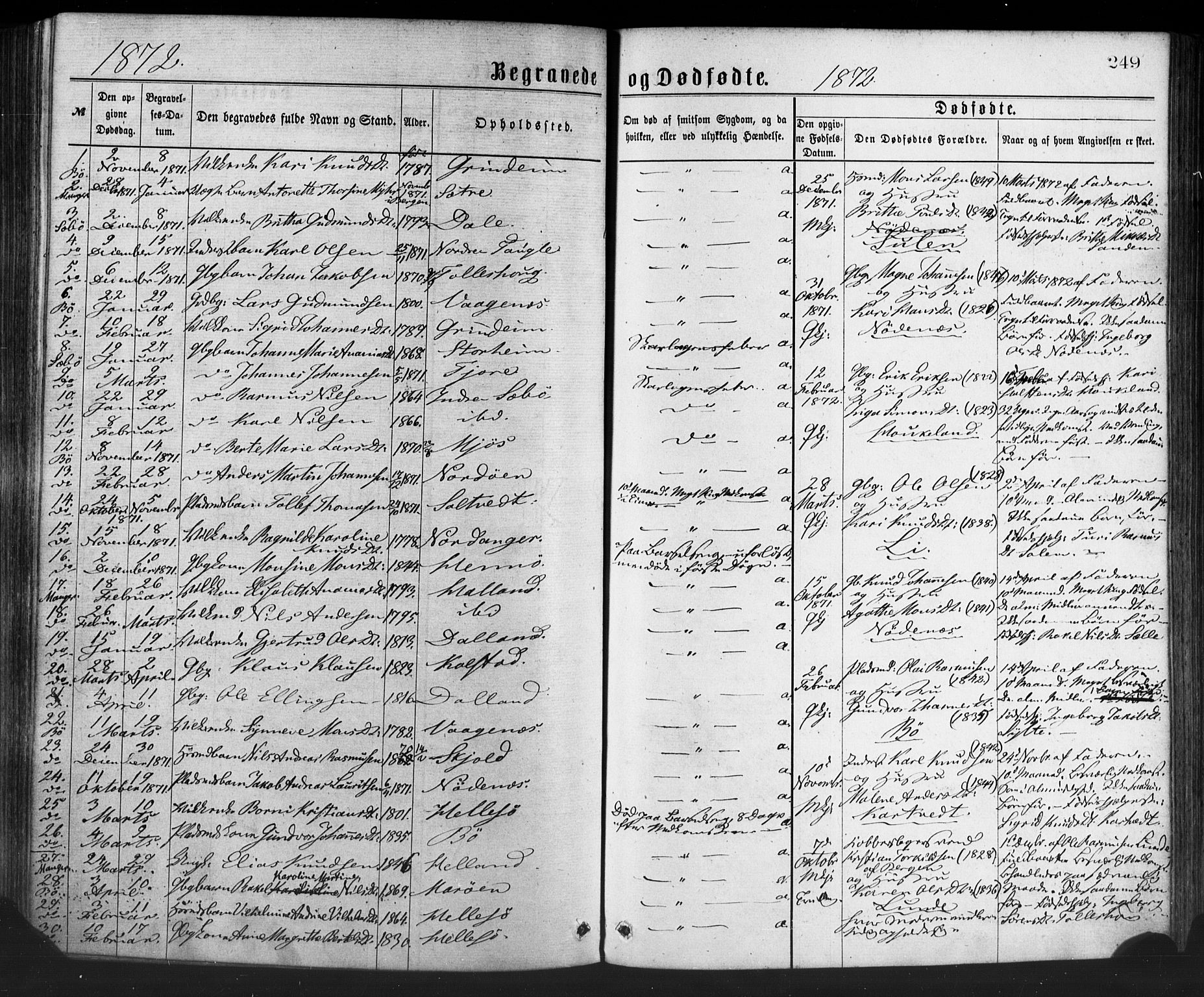 Manger sokneprestembete, SAB/A-76801/H/Haa: Parish register (official) no. A 8, 1871-1880, p. 249