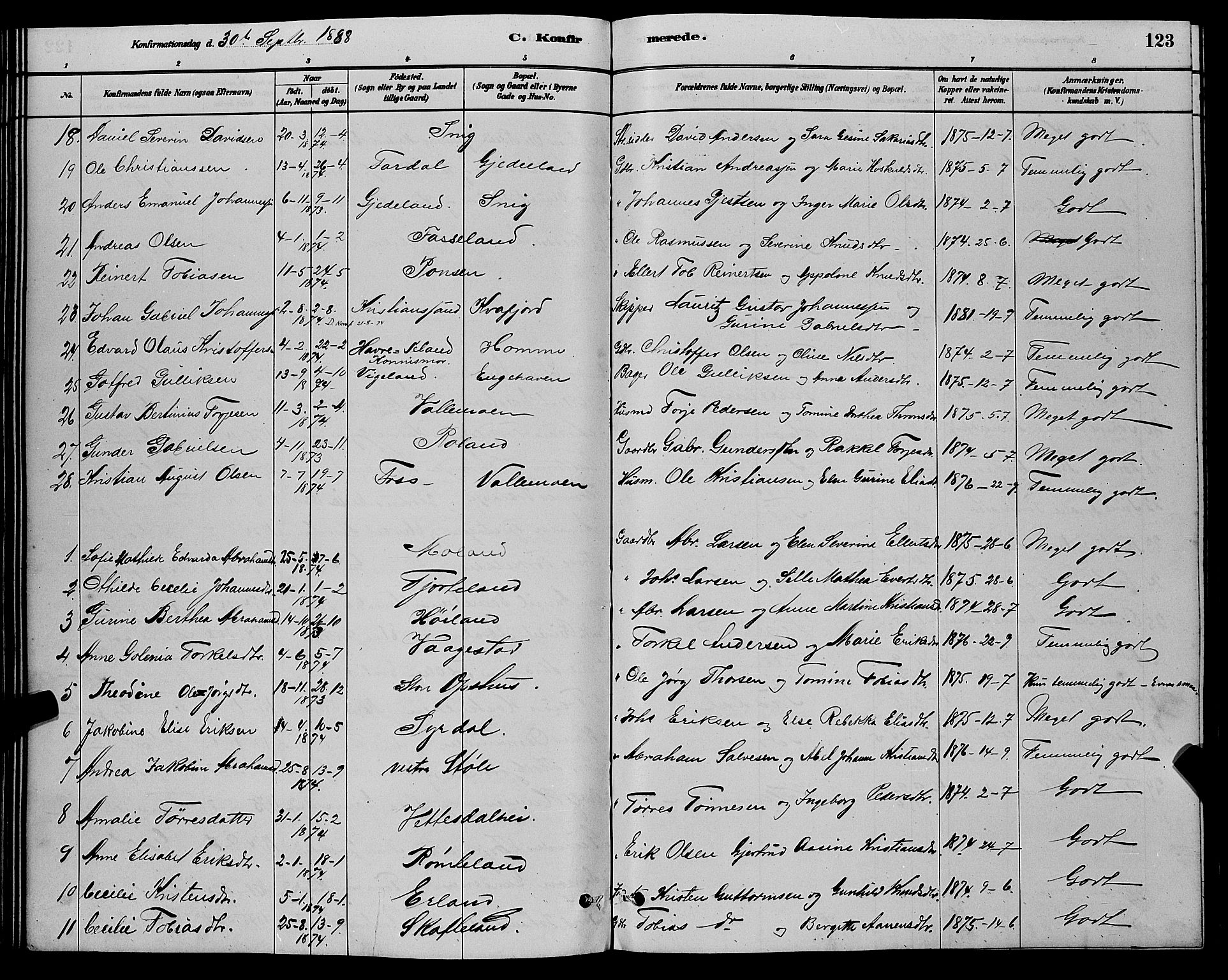 Sør-Audnedal sokneprestkontor, AV/SAK-1111-0039/F/Fb/Fbb/L0005: Parish register (copy) no. B 5, 1880-1892, p. 123