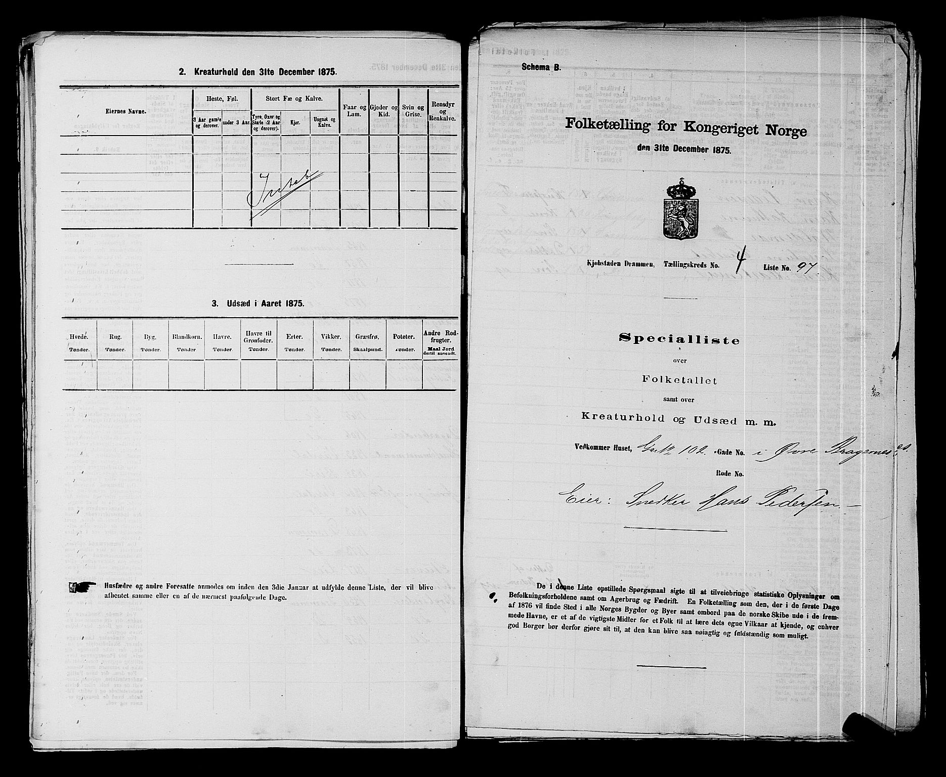 SAKO, 1875 census for 0602 Drammen, 1875, p. 403