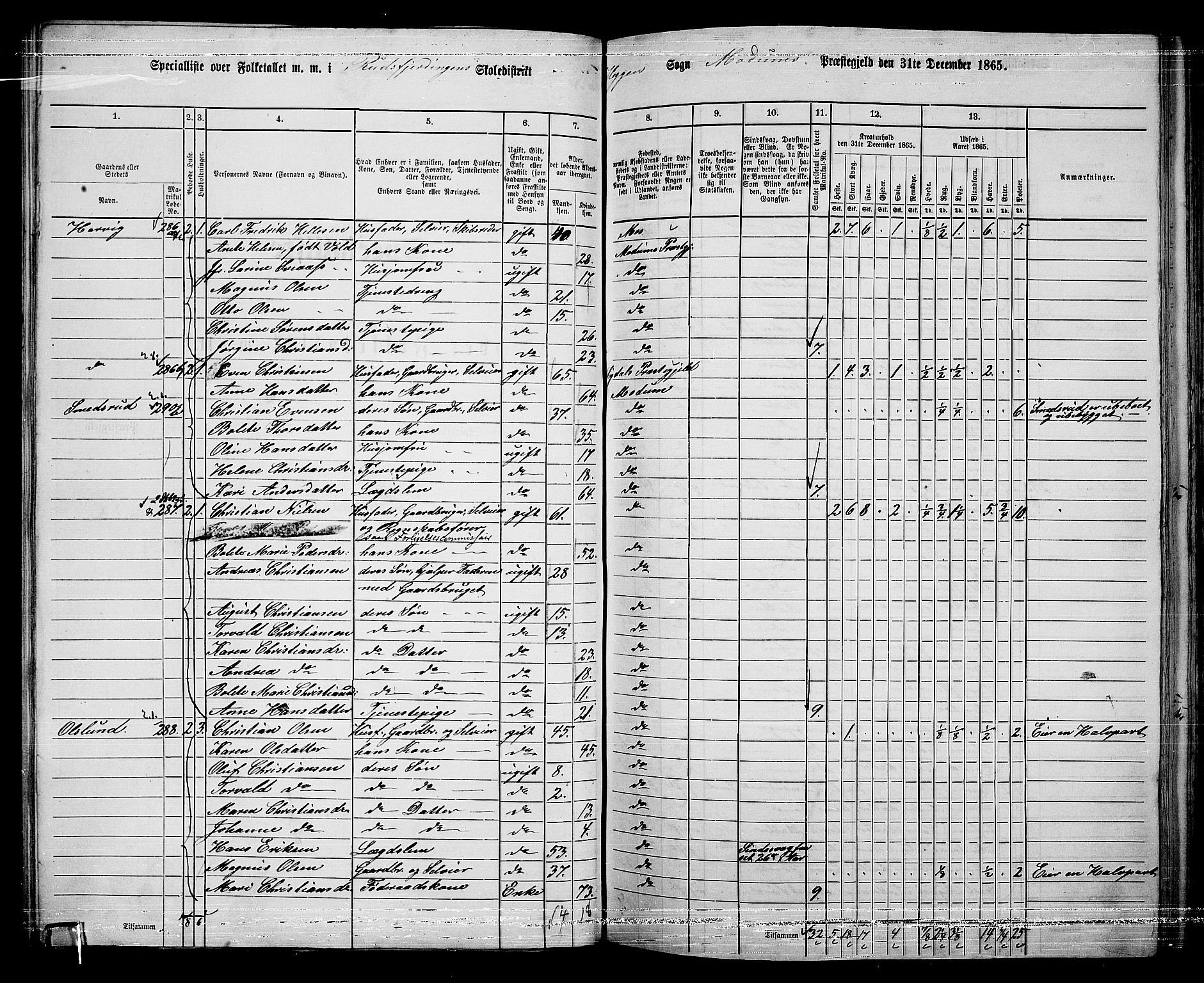 RA, 1865 census for Modum, 1865, p. 100