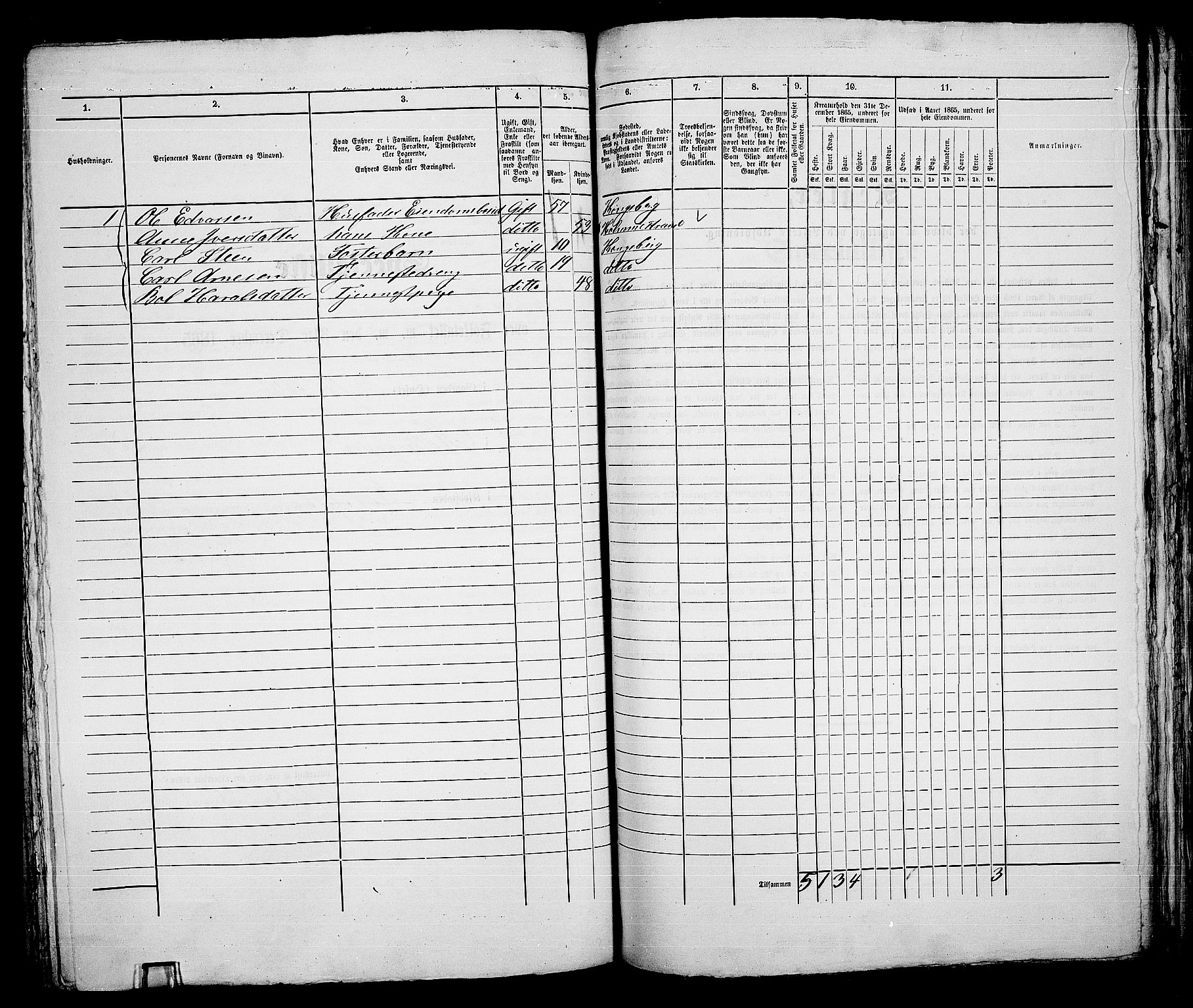 RA, 1865 census for Kongsberg/Kongsberg, 1865, p. 331