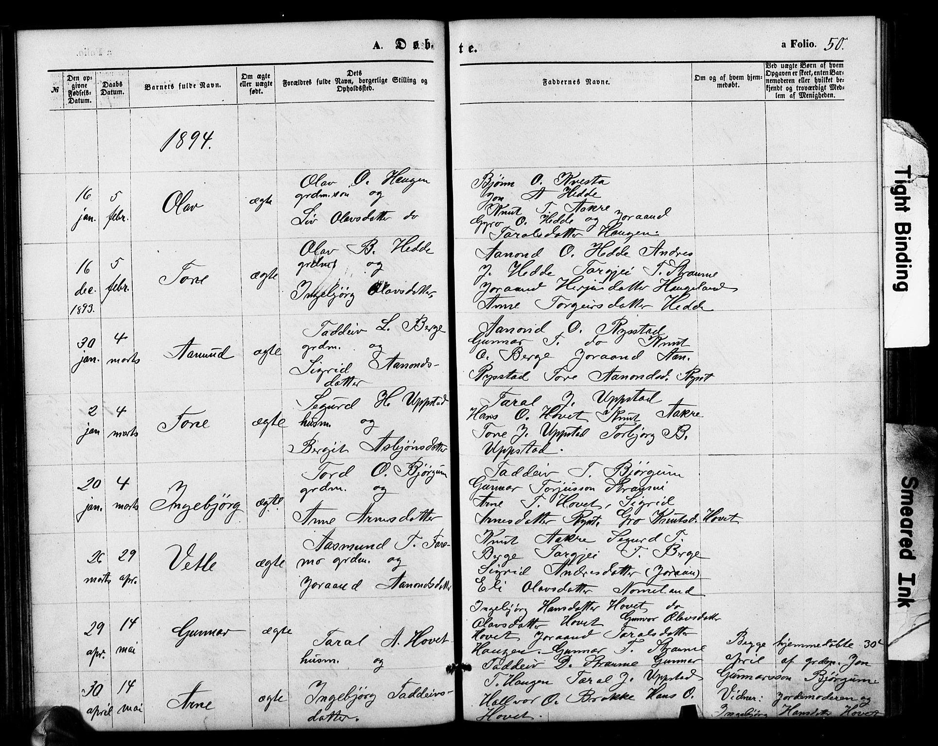 Valle sokneprestkontor, AV/SAK-1111-0044/F/Fb/Fbb/L0002: Parish register (copy) no. B 2, 1875-1921, p. 50