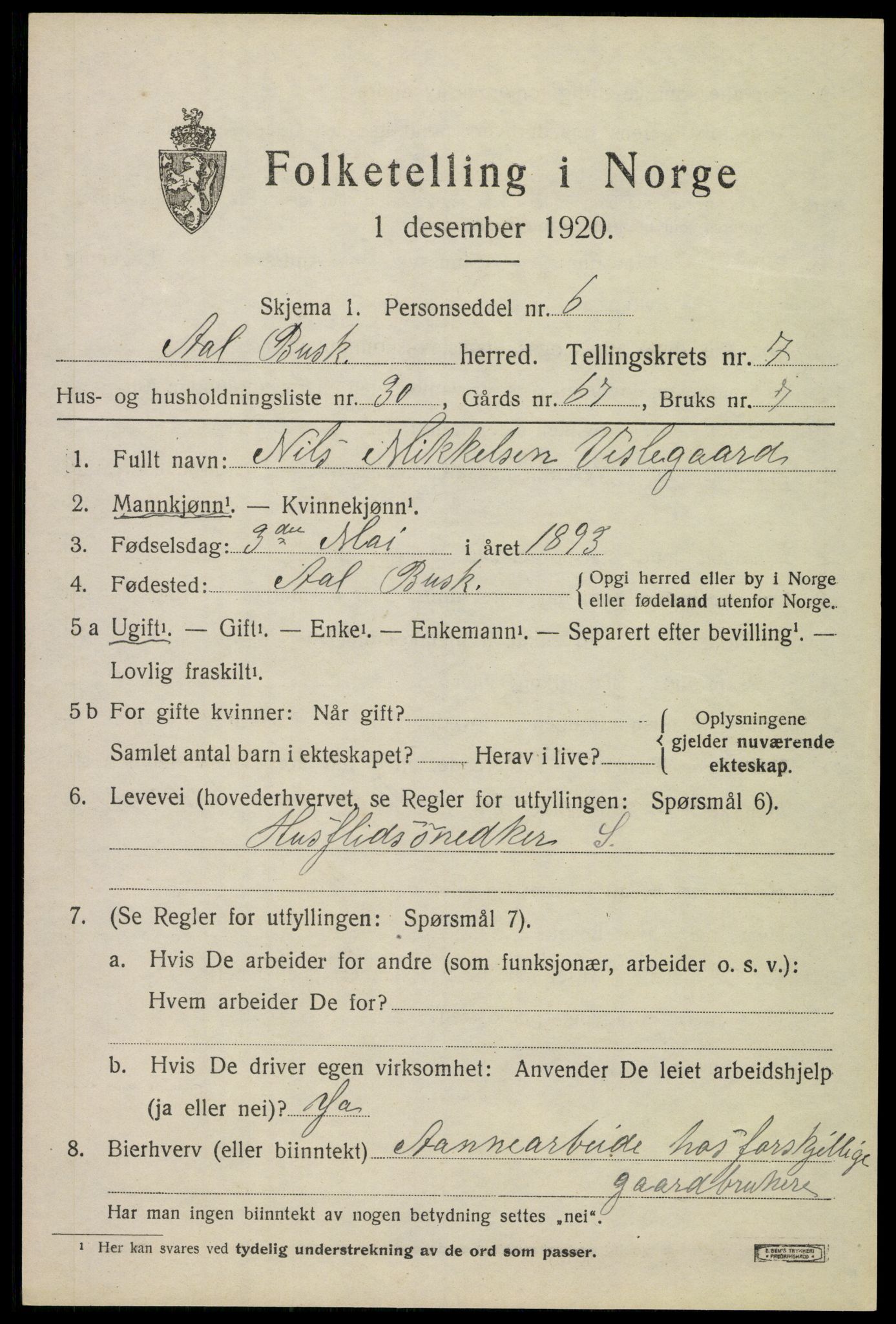 SAKO, 1920 census for Ål, 1920, p. 5120