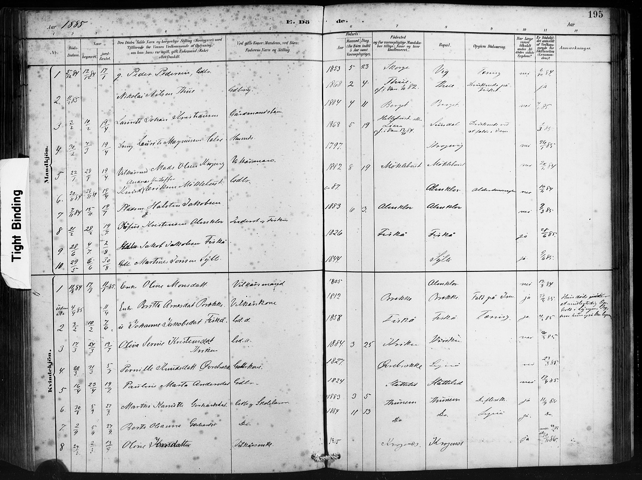 Ministerialprotokoller, klokkerbøker og fødselsregistre - Møre og Romsdal, AV/SAT-A-1454/501/L0008: Parish register (official) no. 501A08, 1885-1901, p. 195