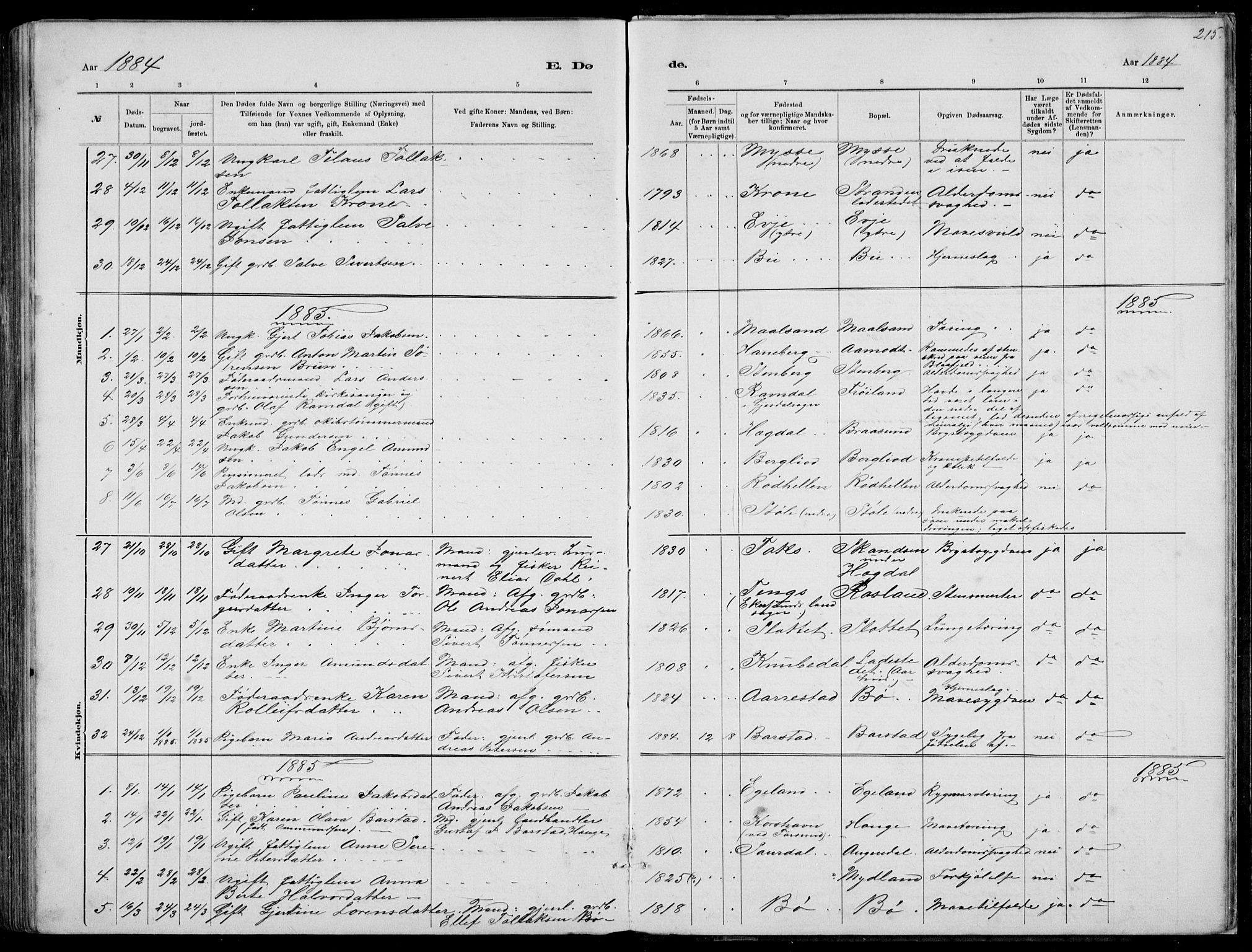 Sokndal sokneprestkontor, AV/SAST-A-101808: Parish register (copy) no. B 4, 1880-1891, p. 215