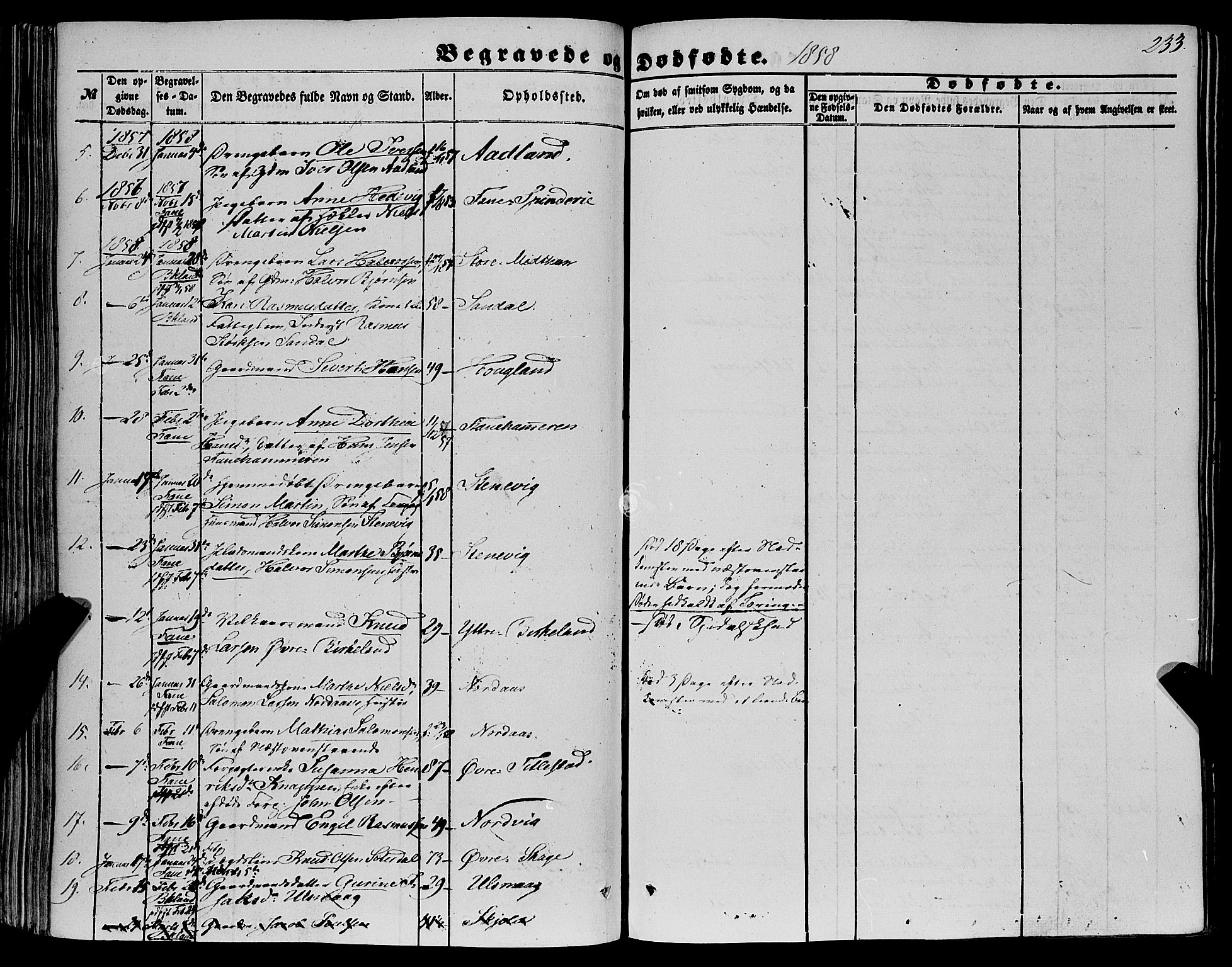 Fana Sokneprestembete, AV/SAB-A-75101/H/Haa/Haaa/L0011: Parish register (official) no. A 11, 1851-1862, p. 233