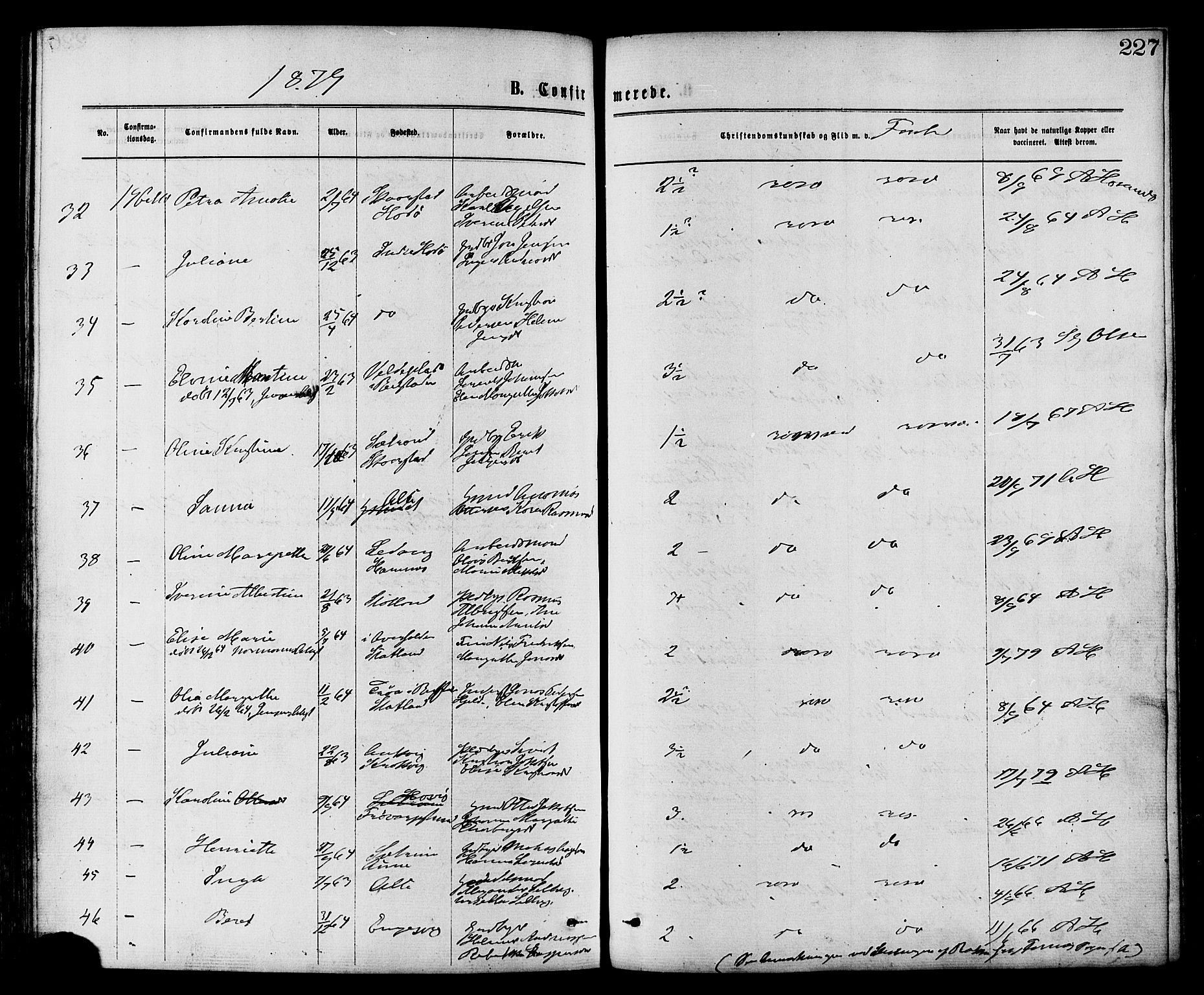 Ministerialprotokoller, klokkerbøker og fødselsregistre - Nord-Trøndelag, SAT/A-1458/773/L0616: Parish register (official) no. 773A07, 1870-1887, p. 227