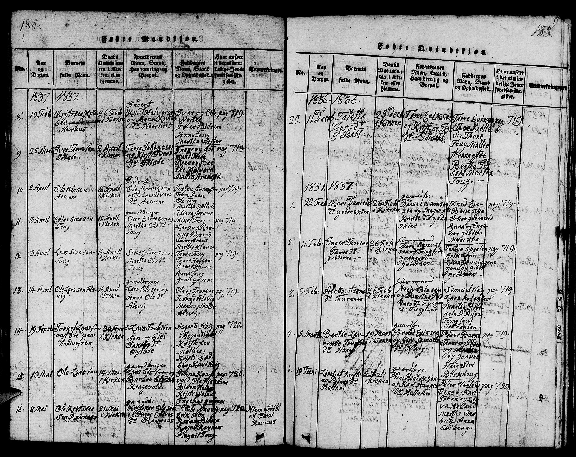 Strand sokneprestkontor, AV/SAST-A-101828/H/Ha/Hab/L0001: Parish register (copy) no. B 1, 1816-1854, p. 184-185