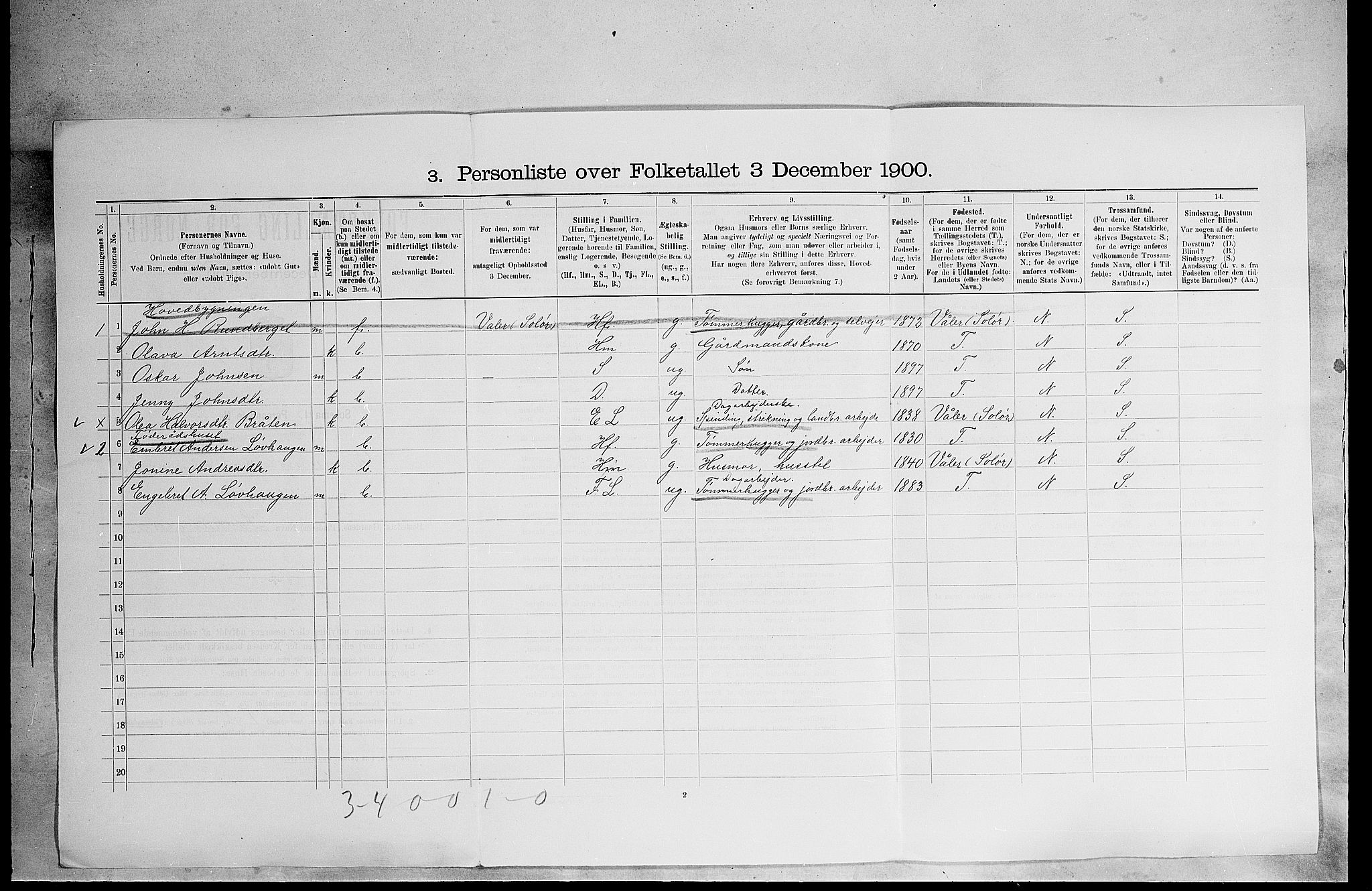 SAH, 1900 census for Elverum, 1900, p. 3005