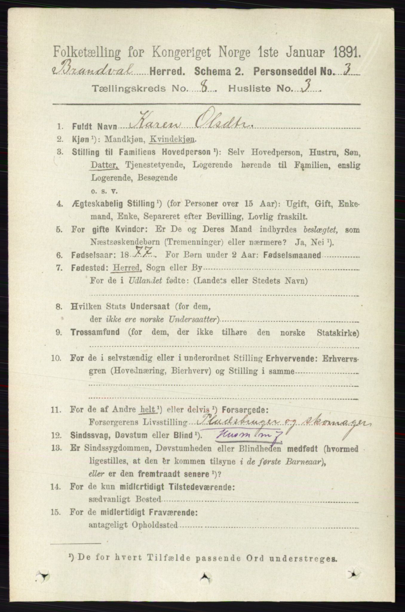 RA, 1891 census for 0422 Brandval, 1891, p. 3845