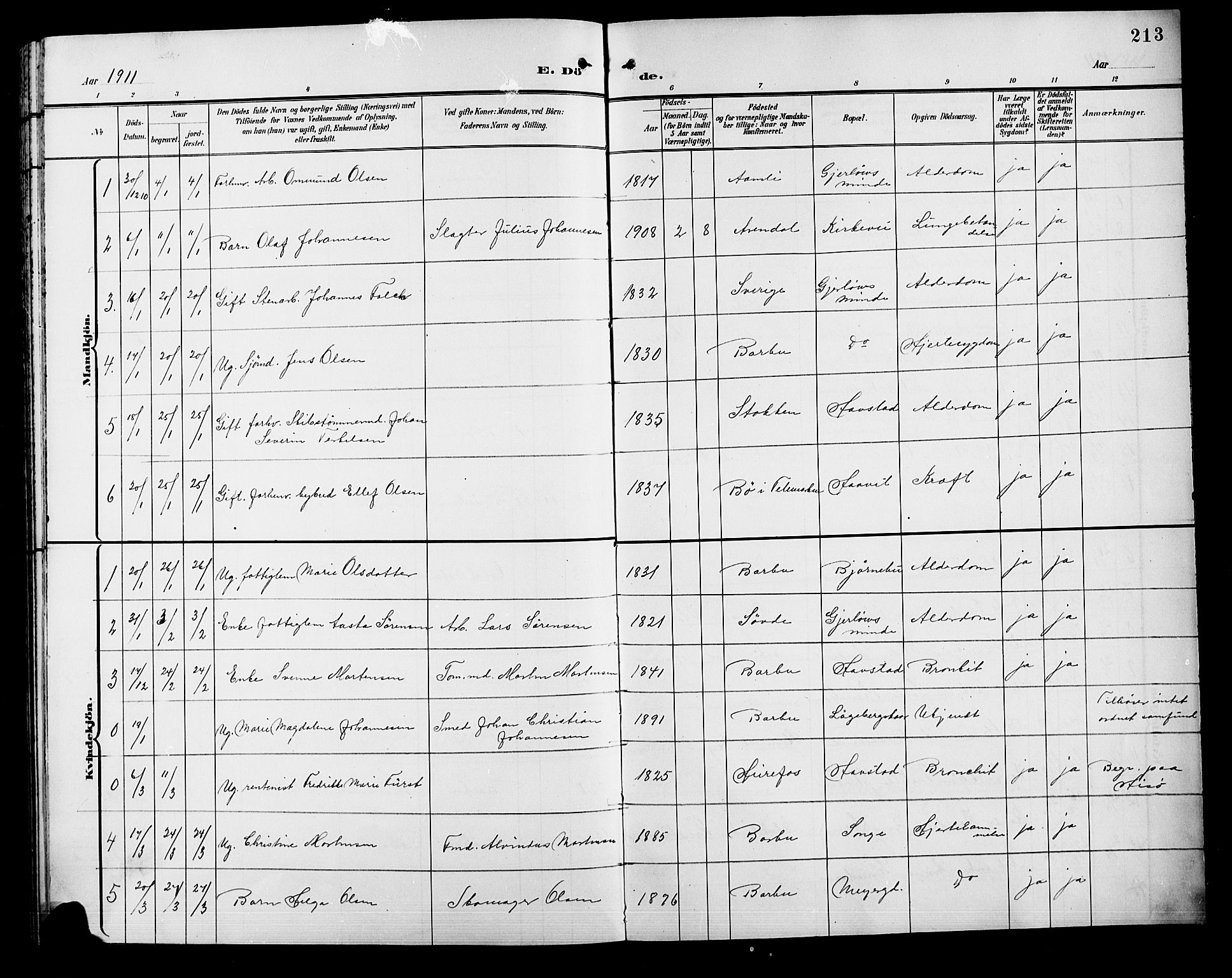 Barbu sokneprestkontor, AV/SAK-1111-0003/F/Fb/L0003: Parish register (copy) no. B 3, 1897-1911, p. 213