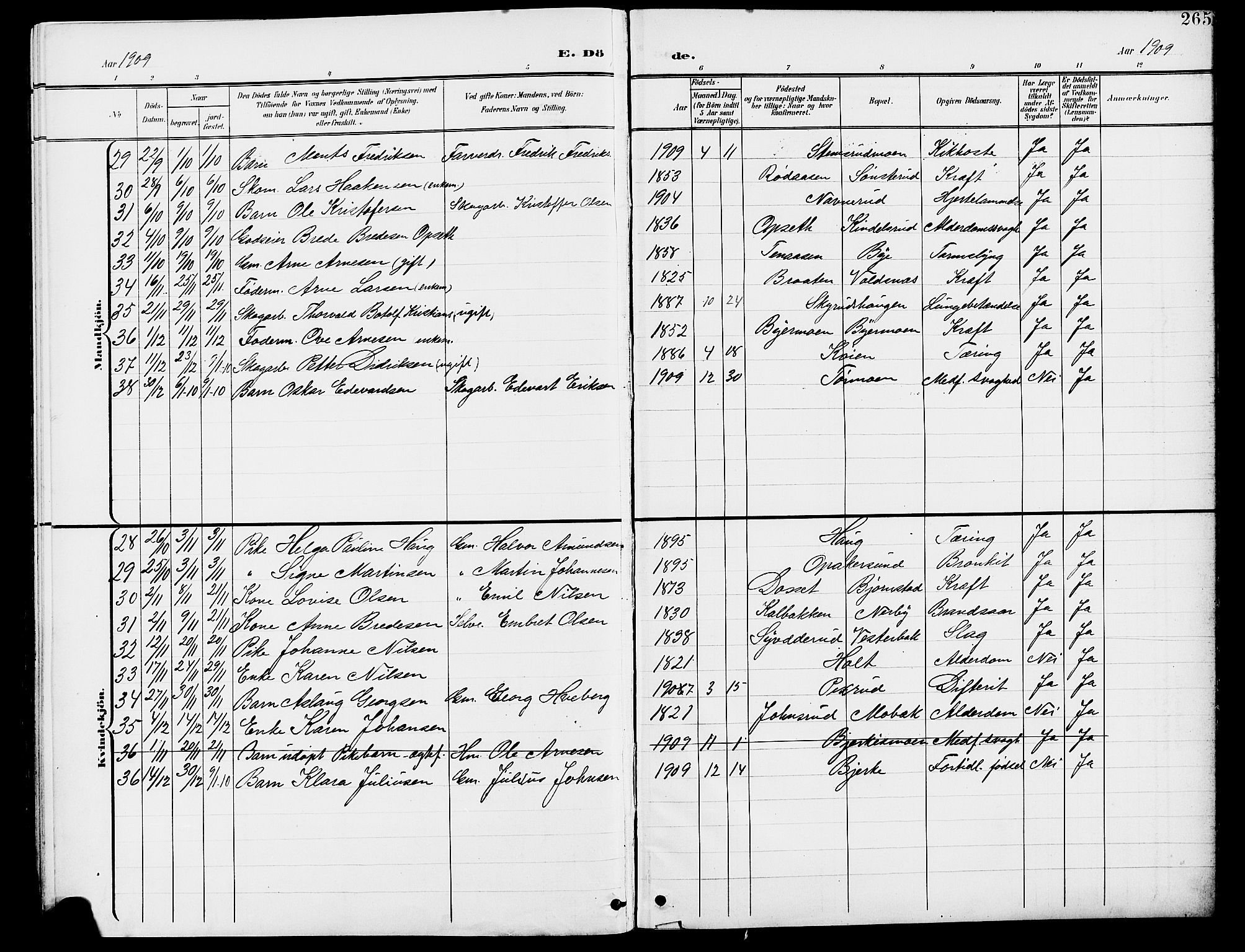 Grue prestekontor, SAH/PREST-036/H/Ha/Hab/L0005: Parish register (copy) no. 5, 1900-1909, p. 265