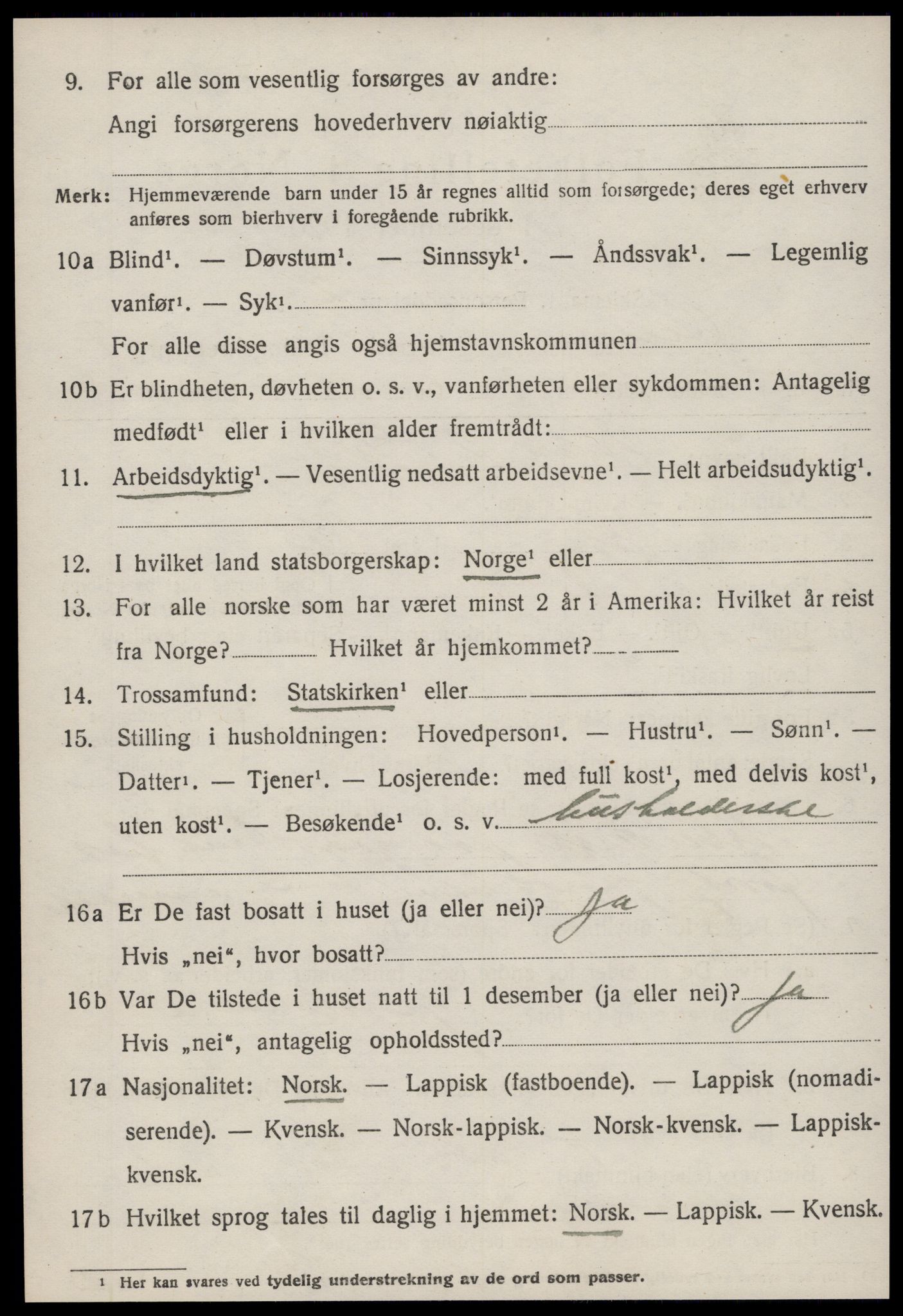 SAT, 1920 census for Hemne, 1920, p. 4019