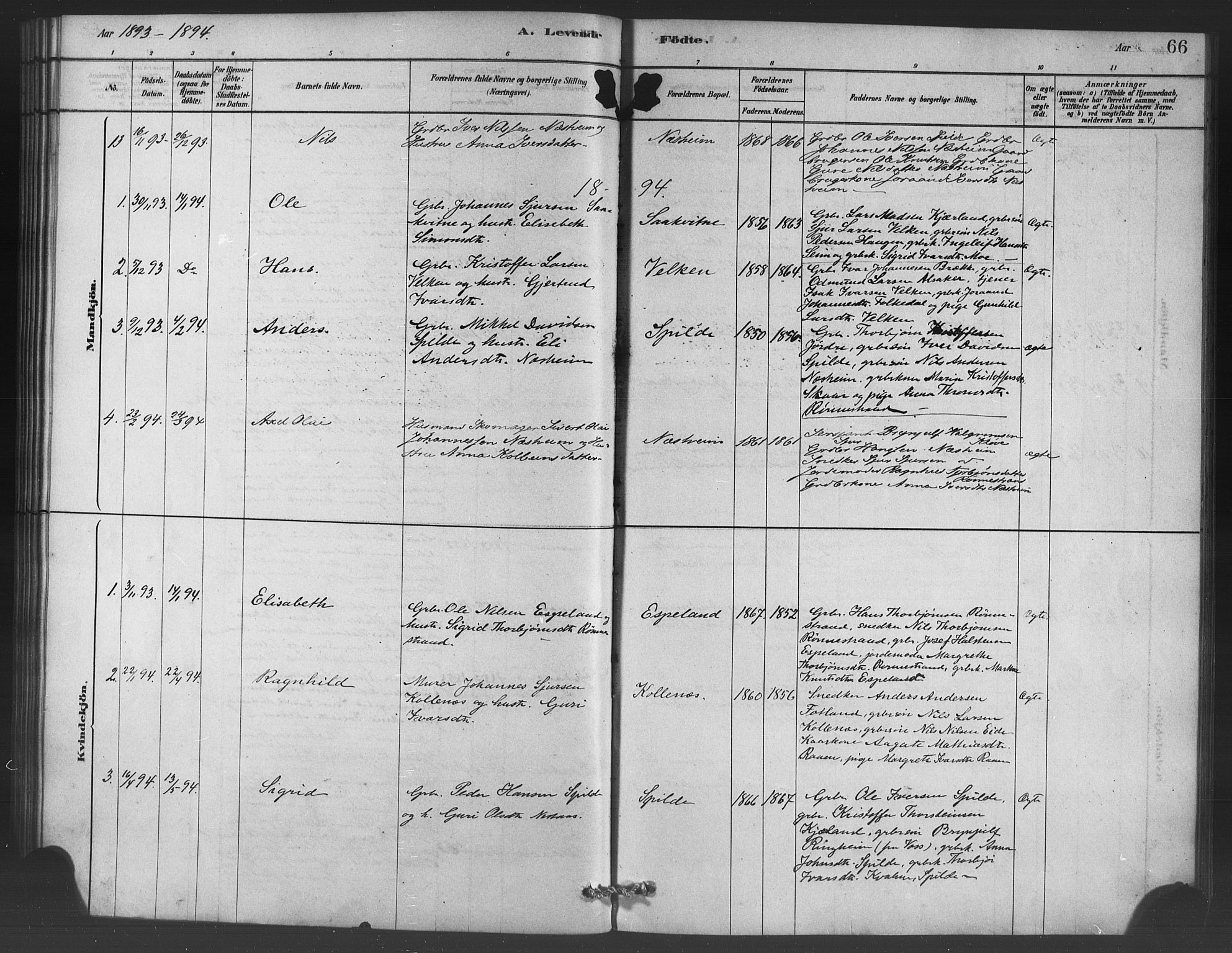 Ulvik sokneprestembete, AV/SAB-A-78801/H/Haa: Parish register (official) no. C 1, 1878-1903, p. 66