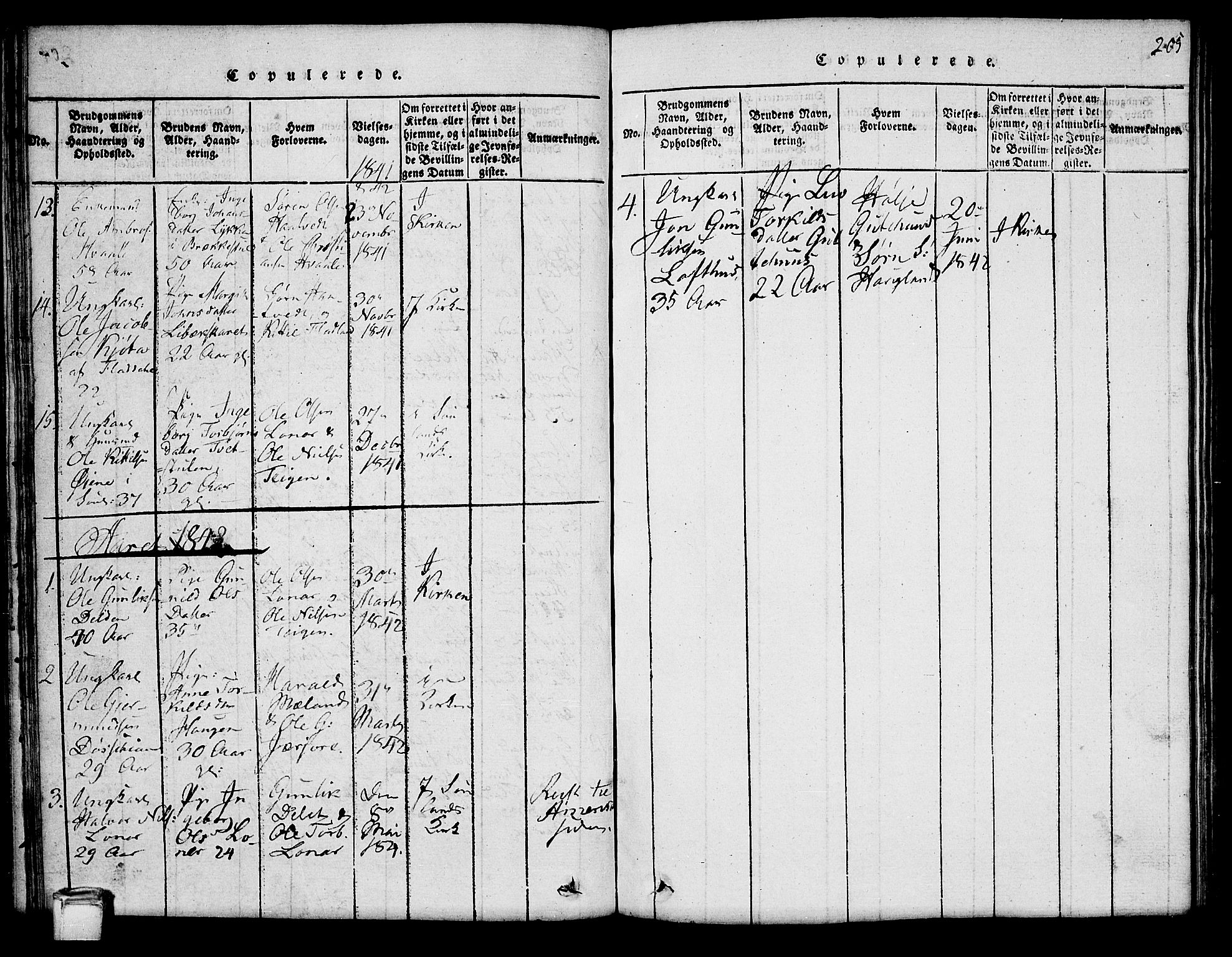 Hjartdal kirkebøker, SAKO/A-270/G/Ga/L0001: Parish register (copy) no. I 1, 1815-1842, p. 205