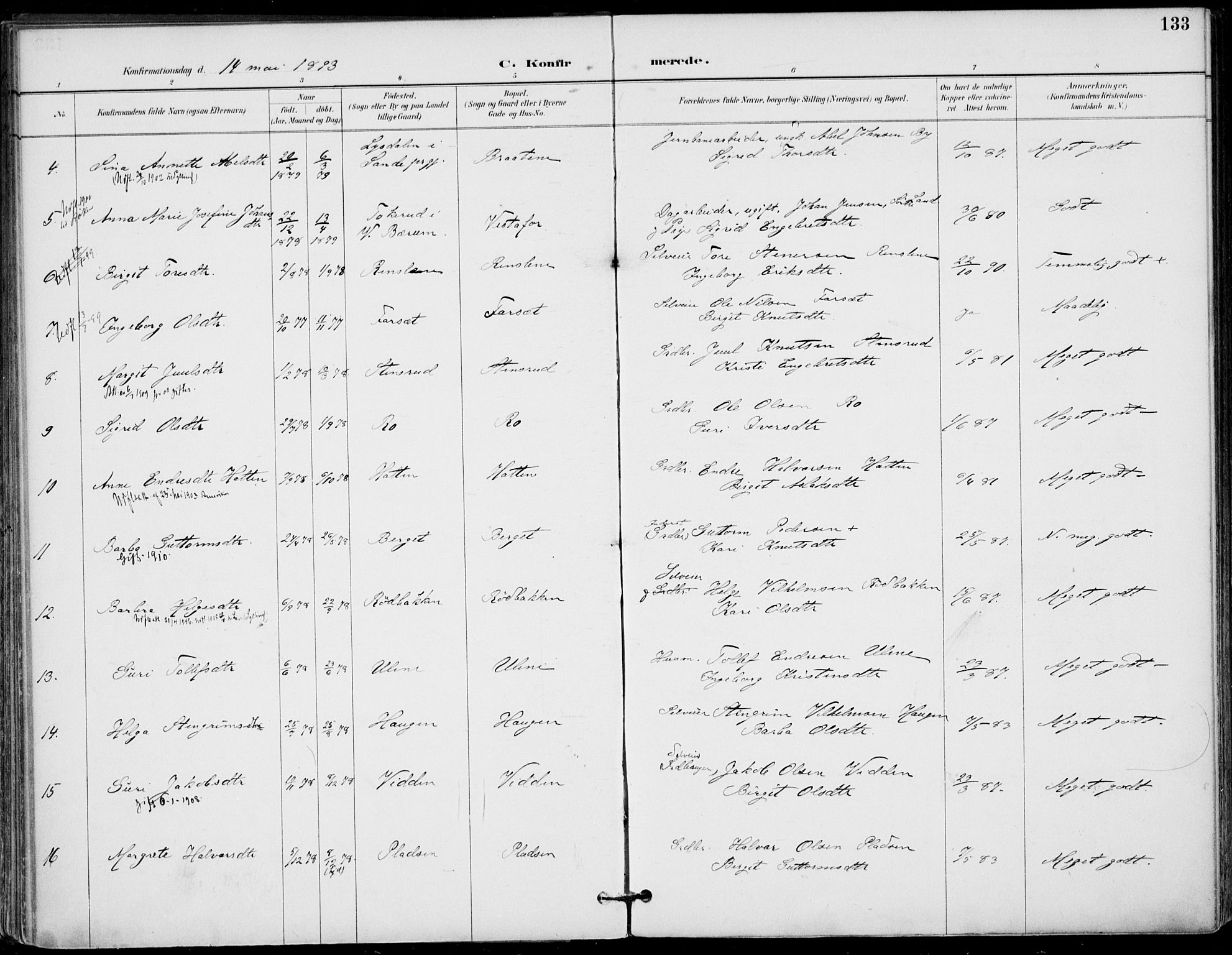 Gol kirkebøker, AV/SAKO-A-226/F/Fa/L0005: Parish register (official) no. I 5, 1887-1900, p. 133