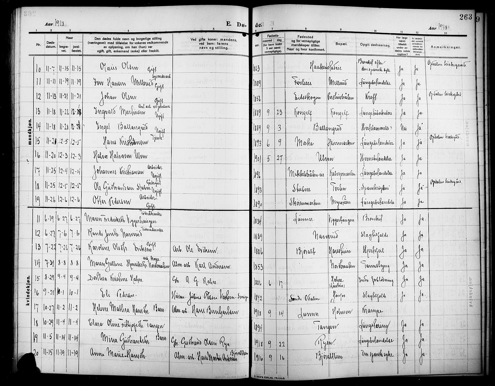 Lunner prestekontor, SAH/PREST-118/H/Ha/Hab/L0001: Parish register (copy) no. 1, 1909-1922, p. 263