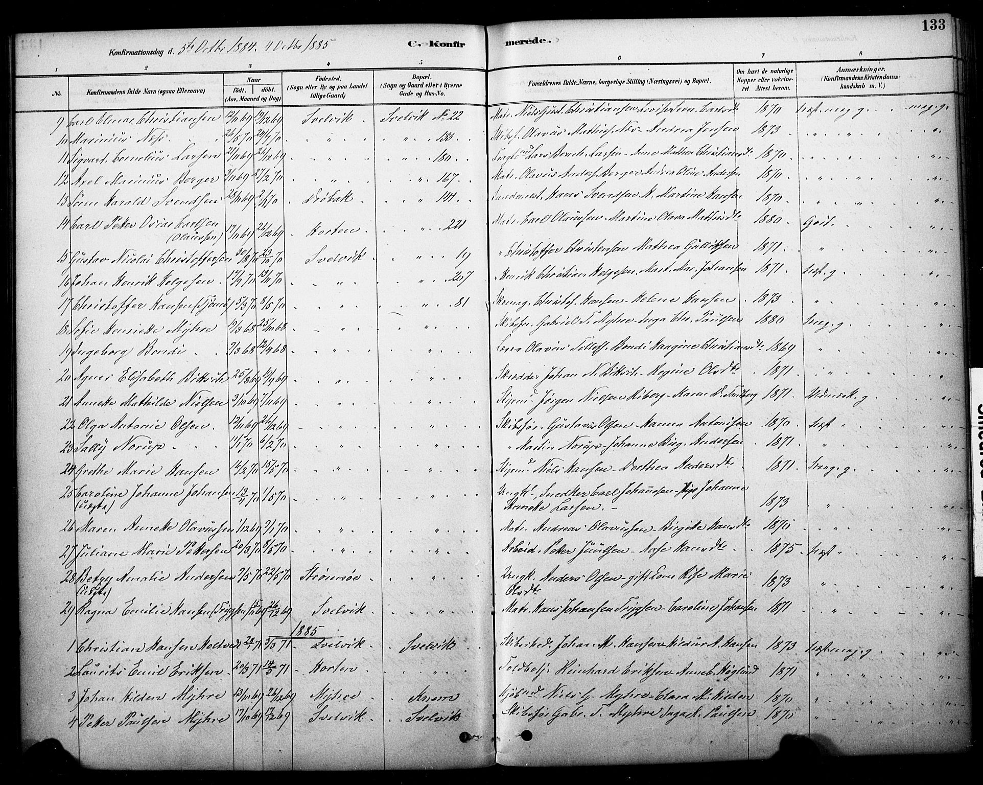 Strømm kirkebøker, AV/SAKO-A-322/F/Fb/L0001: Parish register (official) no. II 1, 1878-1899, p. 133