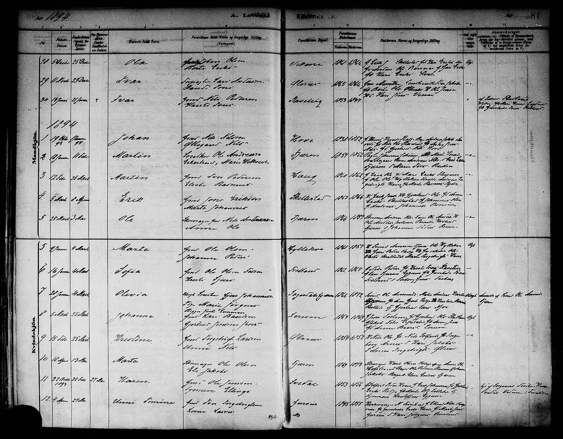 Sogndal sokneprestembete, SAB/A-81301/H/Haa/Haab/L0001: Parish register (official) no. B 1, 1878-1899, p. 81
