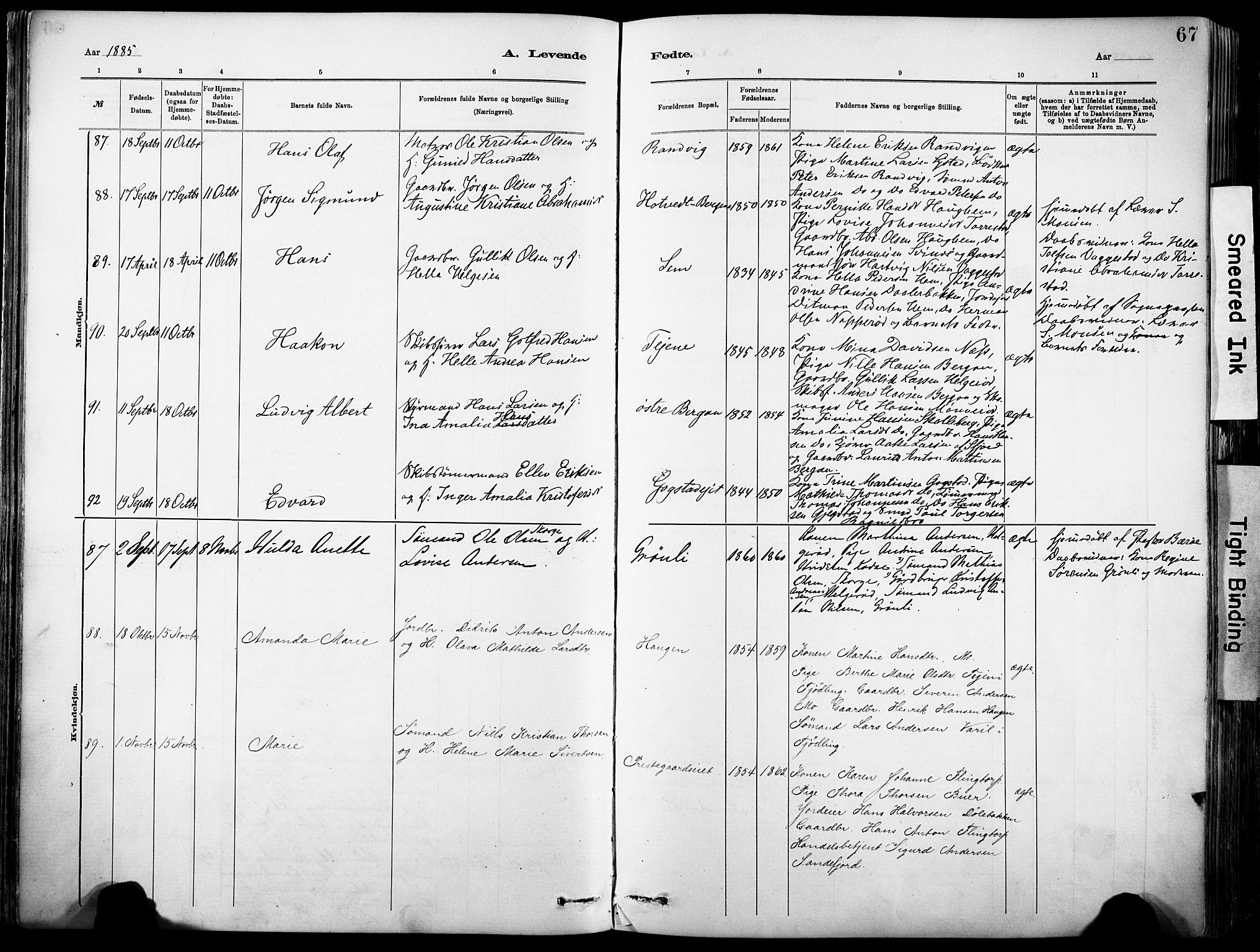 Sandar kirkebøker, SAKO/A-243/F/Fa/L0012: Parish register (official) no. 12, 1883-1895, p. 67