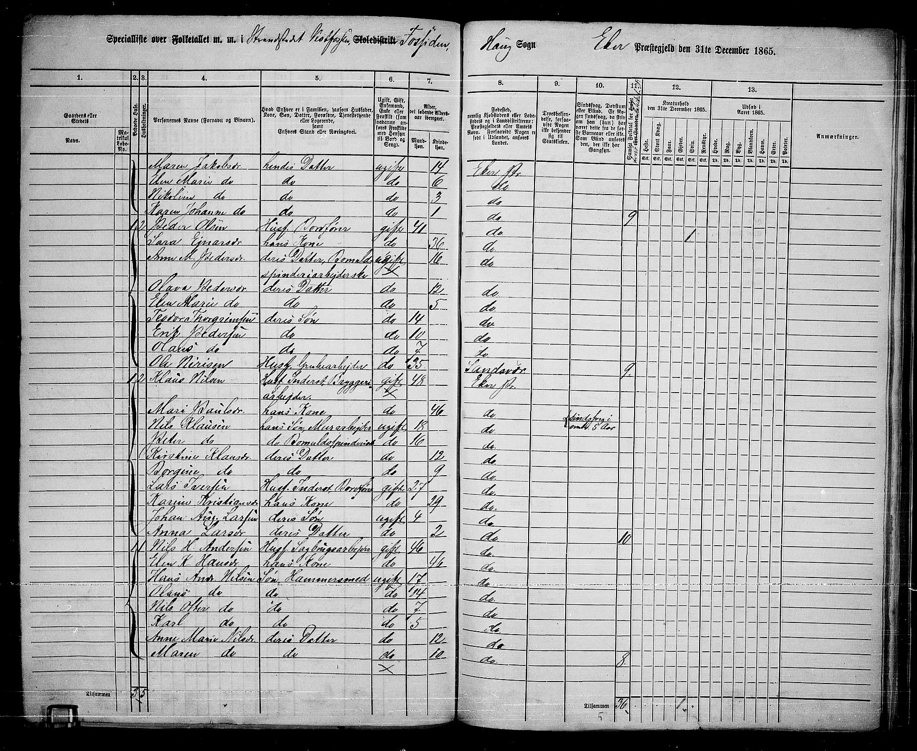 RA, 1865 census for Eiker, 1865, p. 234