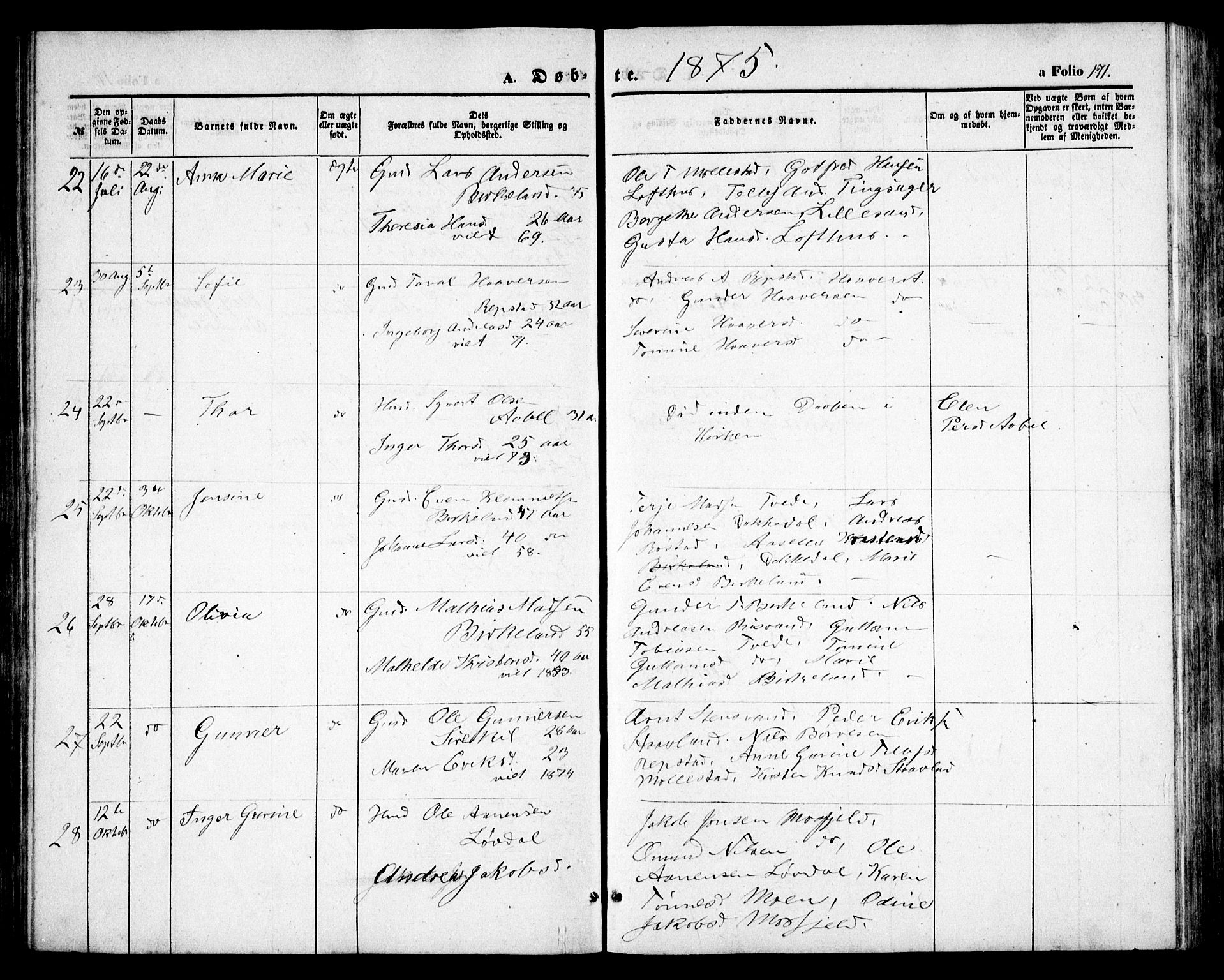 Birkenes sokneprestkontor, SAK/1111-0004/F/Fb/L0002: Parish register (copy) no. B 2, 1849-1876, p. 171