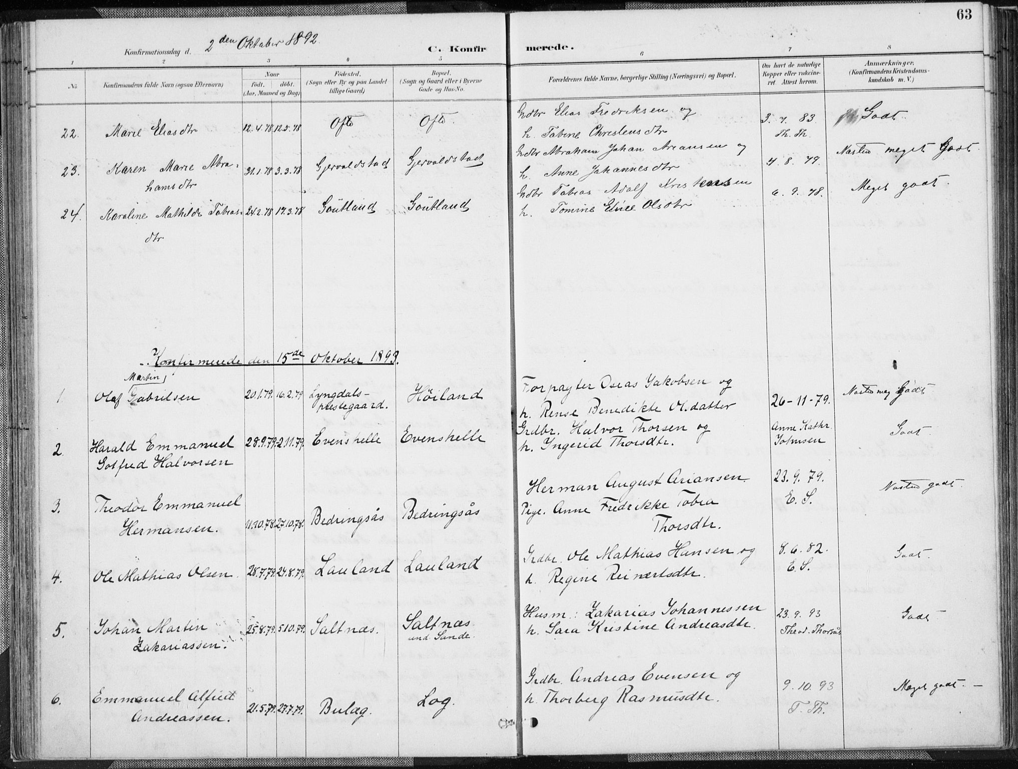 Herad sokneprestkontor, SAK/1111-0018/F/Fa/Faa/L0006: Parish register (official) no. A 6, 1887-1907, p. 63