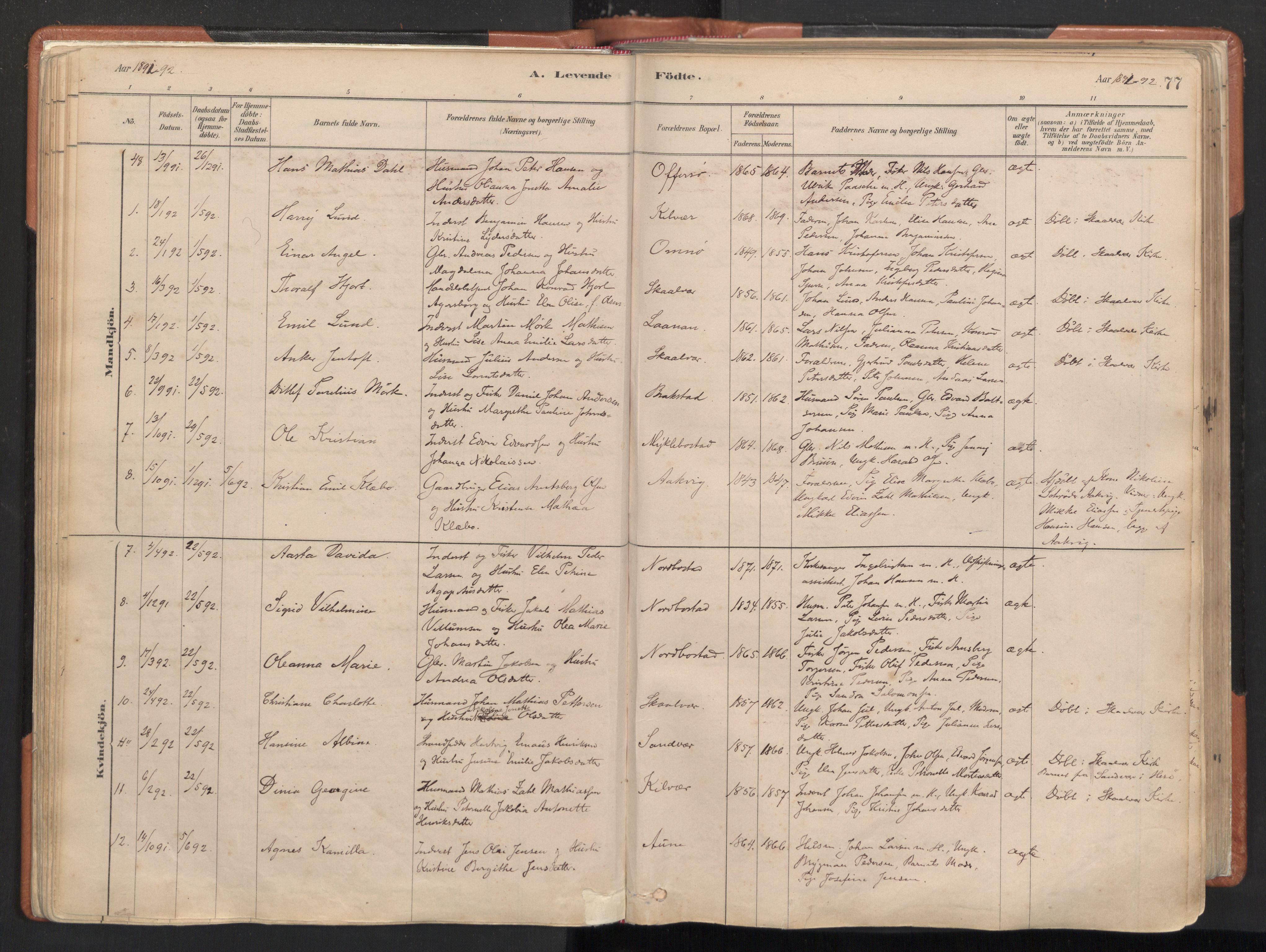 Ministerialprotokoller, klokkerbøker og fødselsregistre - Nordland, SAT/A-1459/817/L0264: Parish register (official) no. 817A04, 1878-1907, p. 77