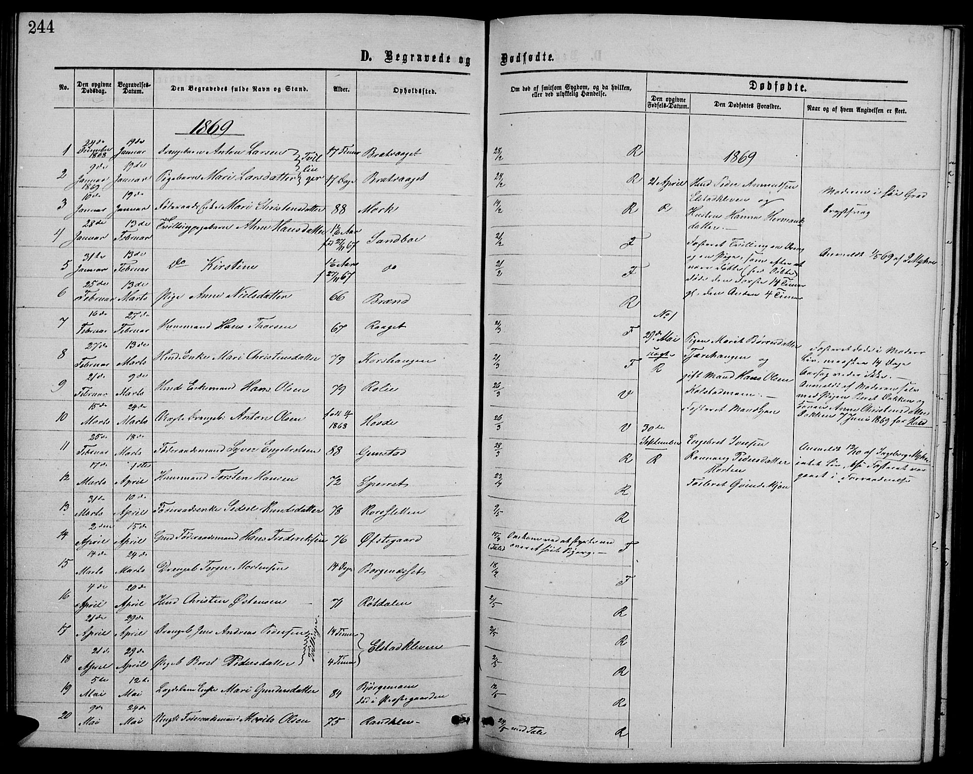 Ringebu prestekontor, SAH/PREST-082/H/Ha/Hab/L0004: Parish register (copy) no. 4, 1867-1879, p. 244