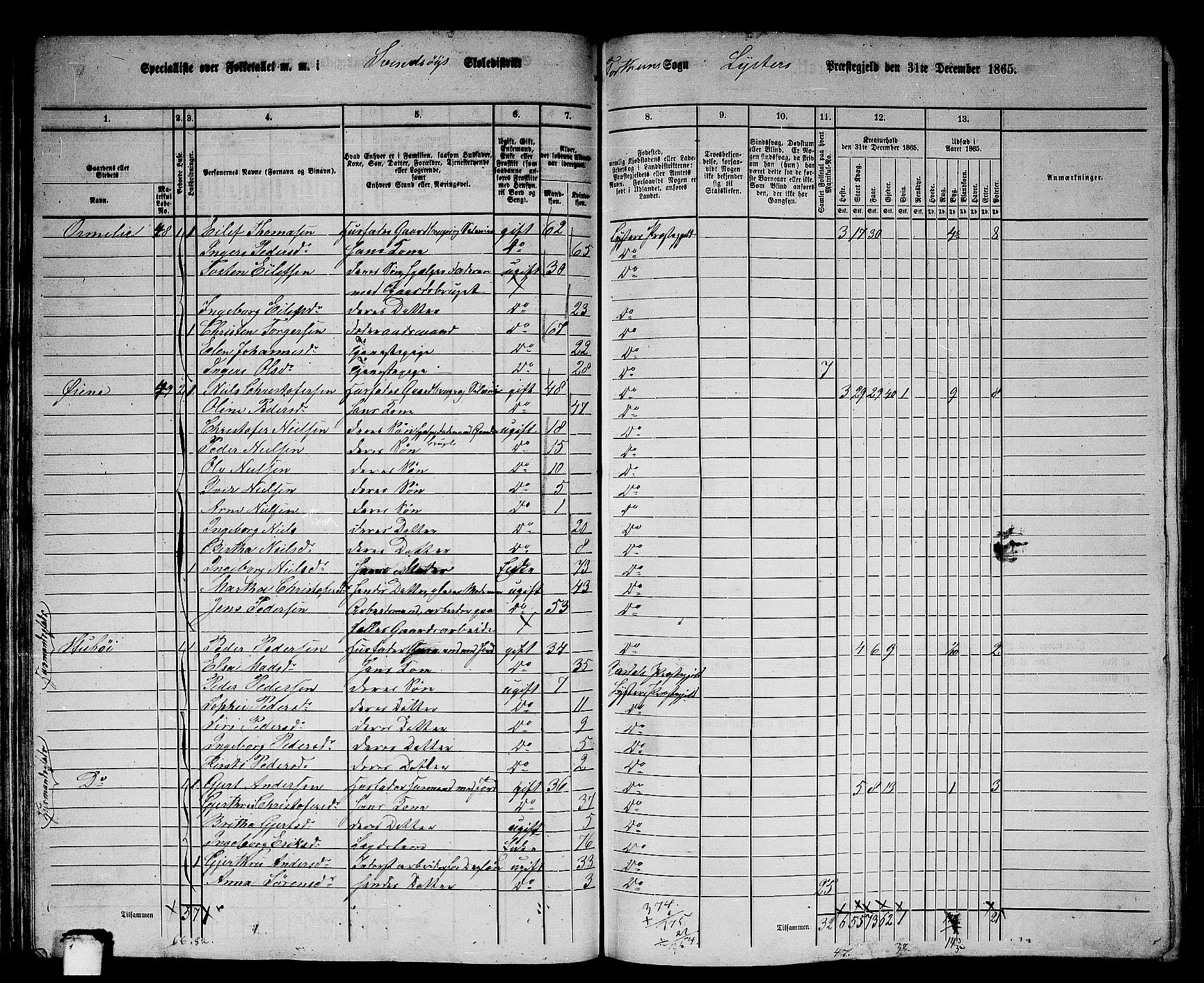 RA, 1865 census for Luster, 1865, p. 44
