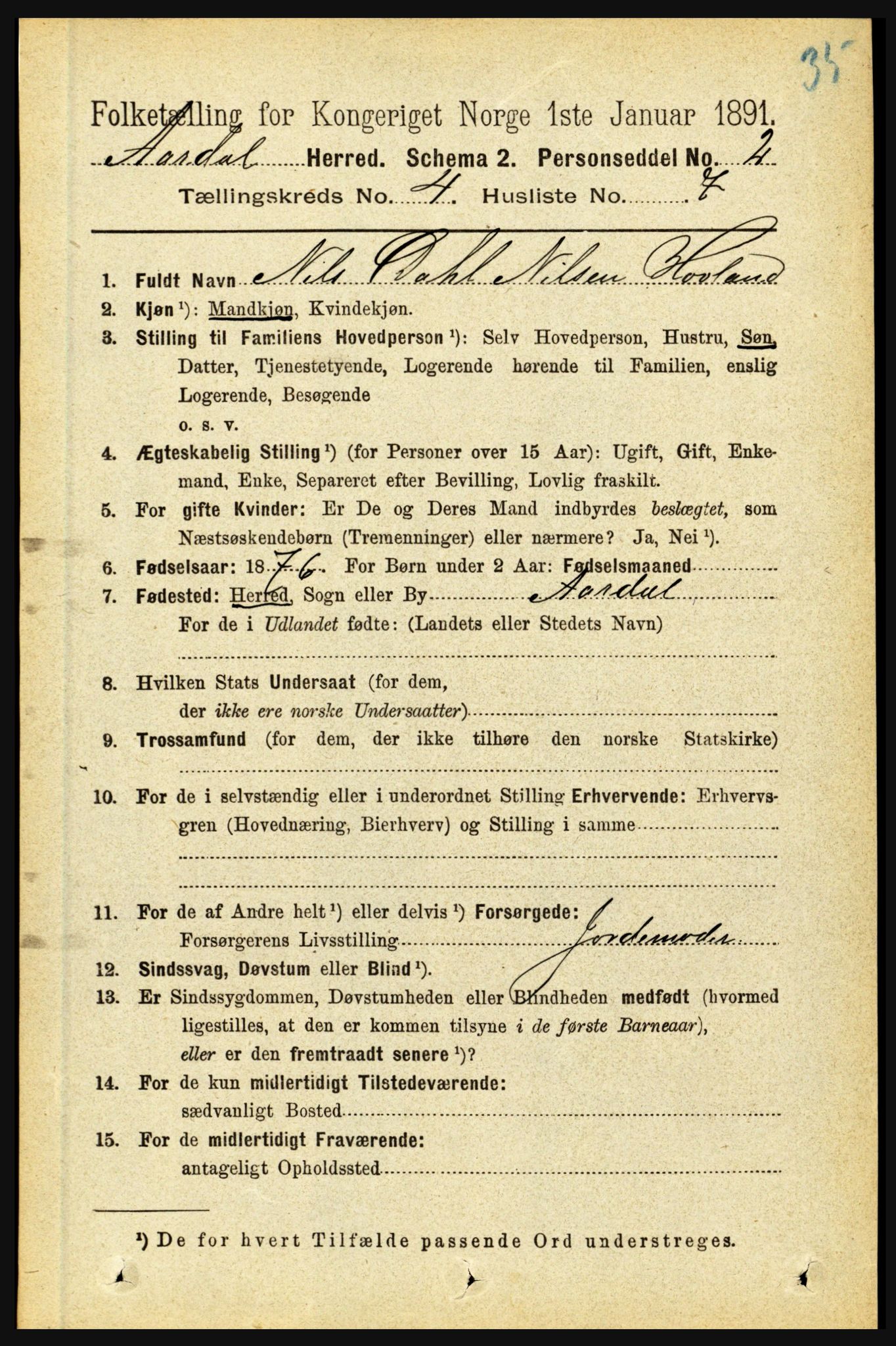 RA, 1891 census for 1424 Årdal, 1891, p. 681