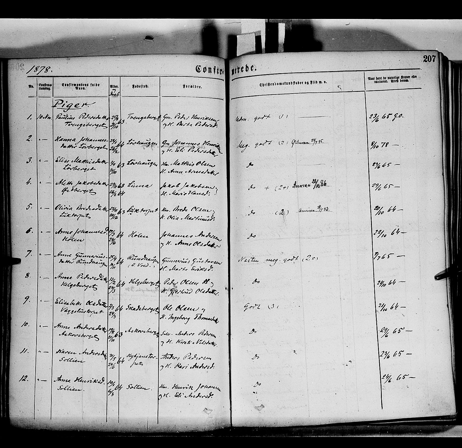 Grue prestekontor, AV/SAH-PREST-036/H/Ha/Haa/L0011: Parish register (official) no. 11, 1873-1880, p. 207