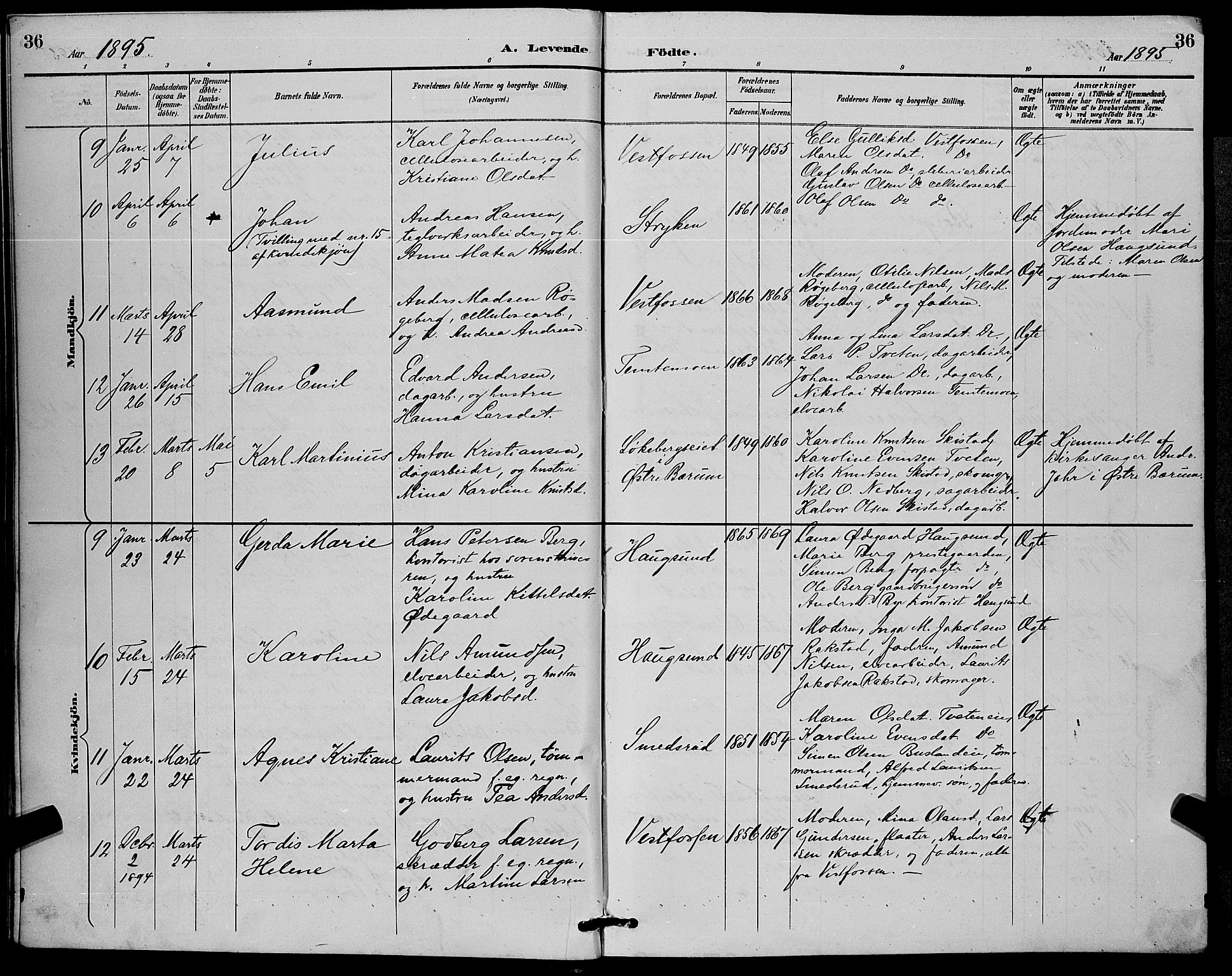 Eiker kirkebøker, AV/SAKO-A-4/G/Ga/L0007: Parish register (copy) no. I 7, 1893-1902, p. 36