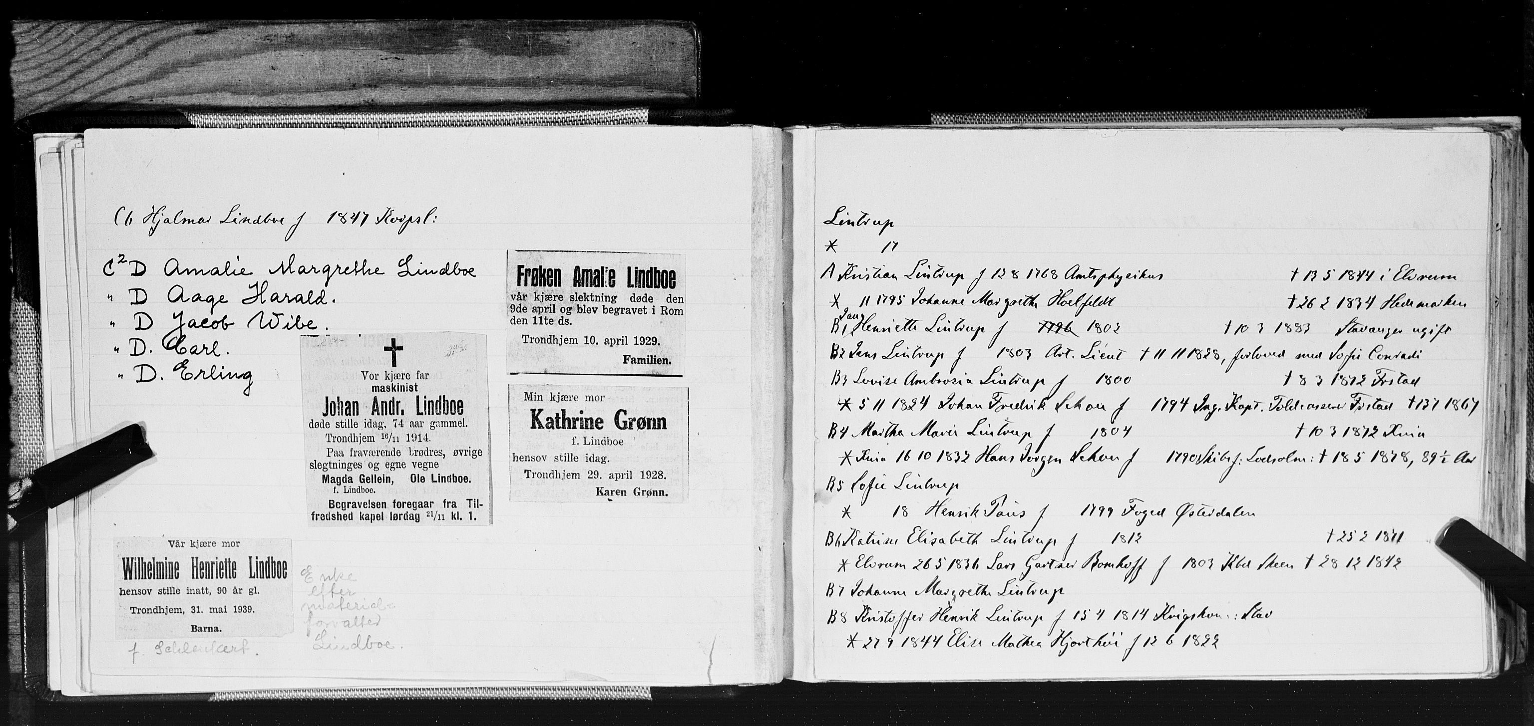 Hornemans samlinger, SAT/PA-X/A/L0017b: L - Ø, 1600-1886