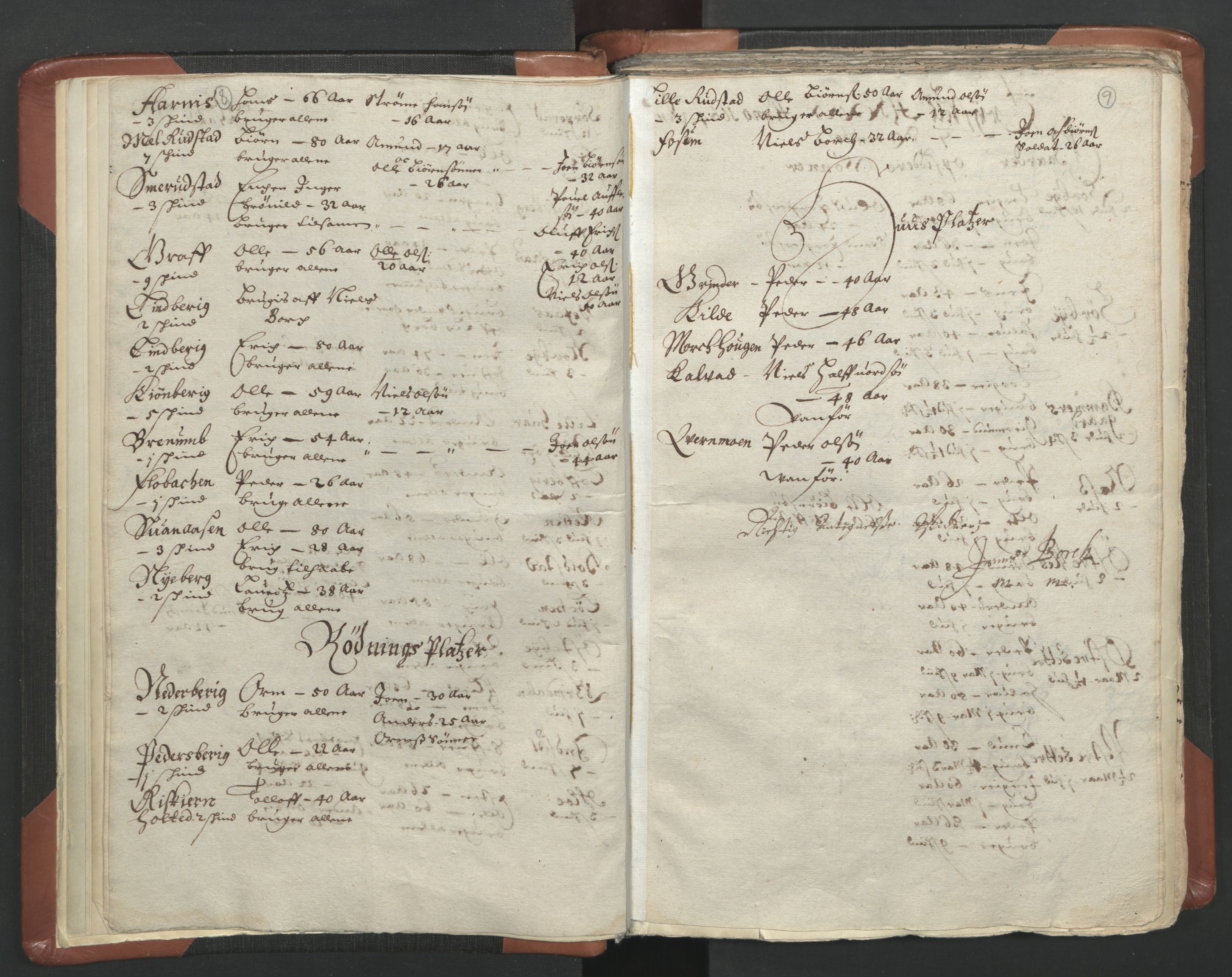 RA, Vicar's Census 1664-1666, no. 5: Hedmark deanery, 1664-1666, p. 8-9