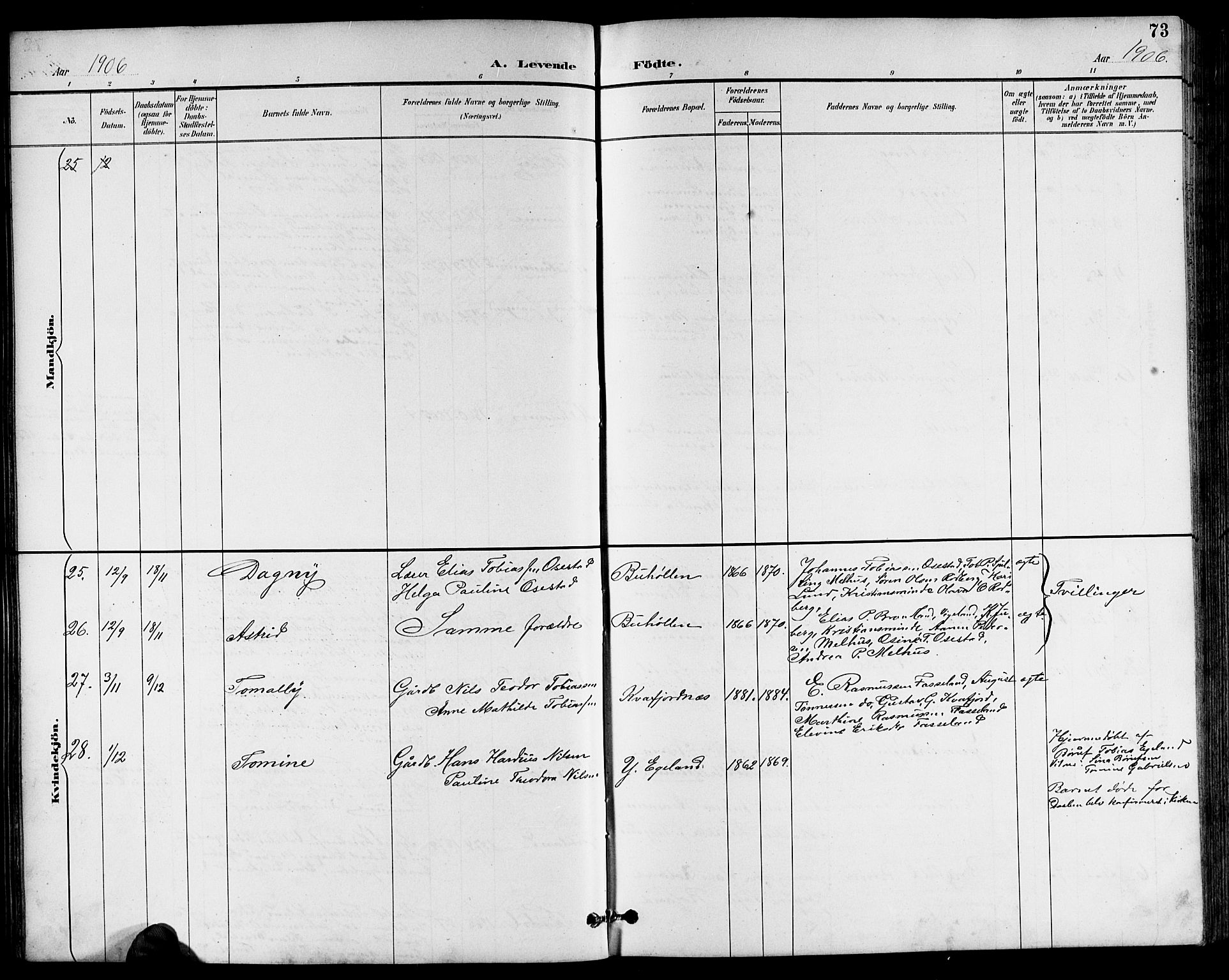 Sør-Audnedal sokneprestkontor, AV/SAK-1111-0039/F/Fb/Fbb/L0006: Parish register (copy) no. B 6, 1893-1915, p. 73