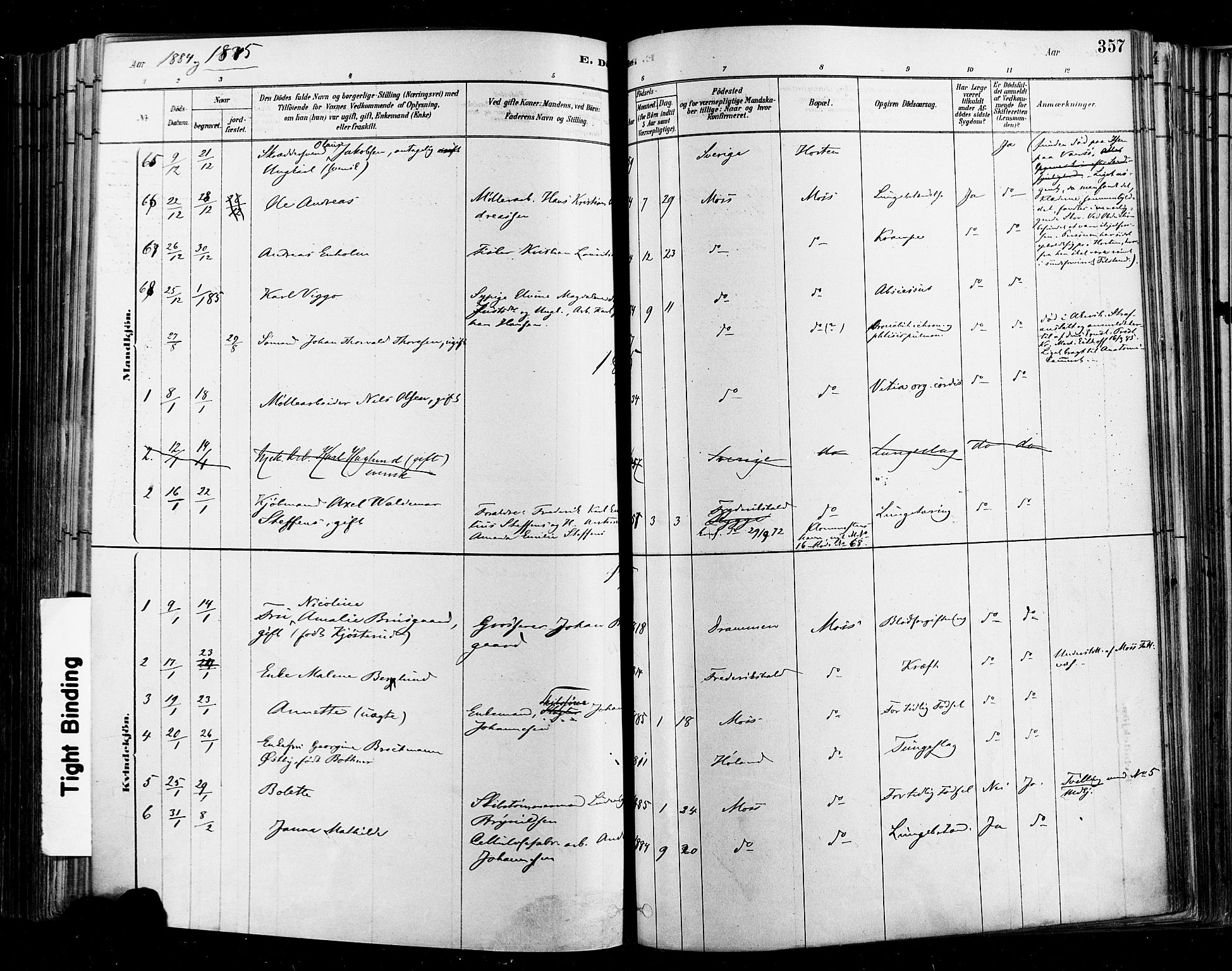 Moss prestekontor Kirkebøker, SAO/A-2003/F/Fb/L0001: Parish register (official) no. II 1, 1878-1886, p. 357
