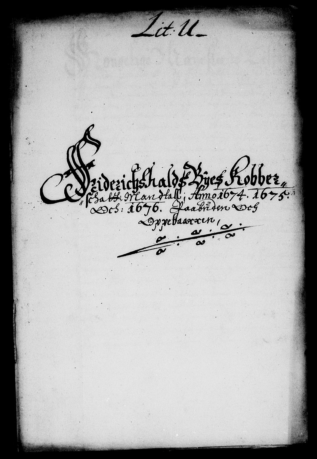 Rentekammeret inntil 1814, Reviderte regnskaper, Stiftamtstueregnskaper, Landkommissariatet på Akershus og Akershus stiftamt, RA/EA-5869/R/Rb/L0122: Akershus stiftamt, 1676