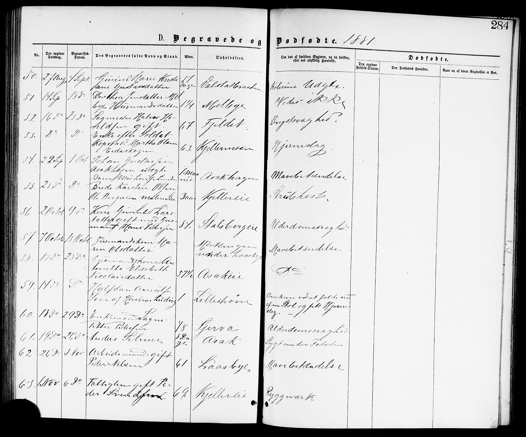 Skedsmo prestekontor Kirkebøker, AV/SAO-A-10033a/G/Ga/L0003: Parish register (copy) no. I 3, 1873-1882, p. 284