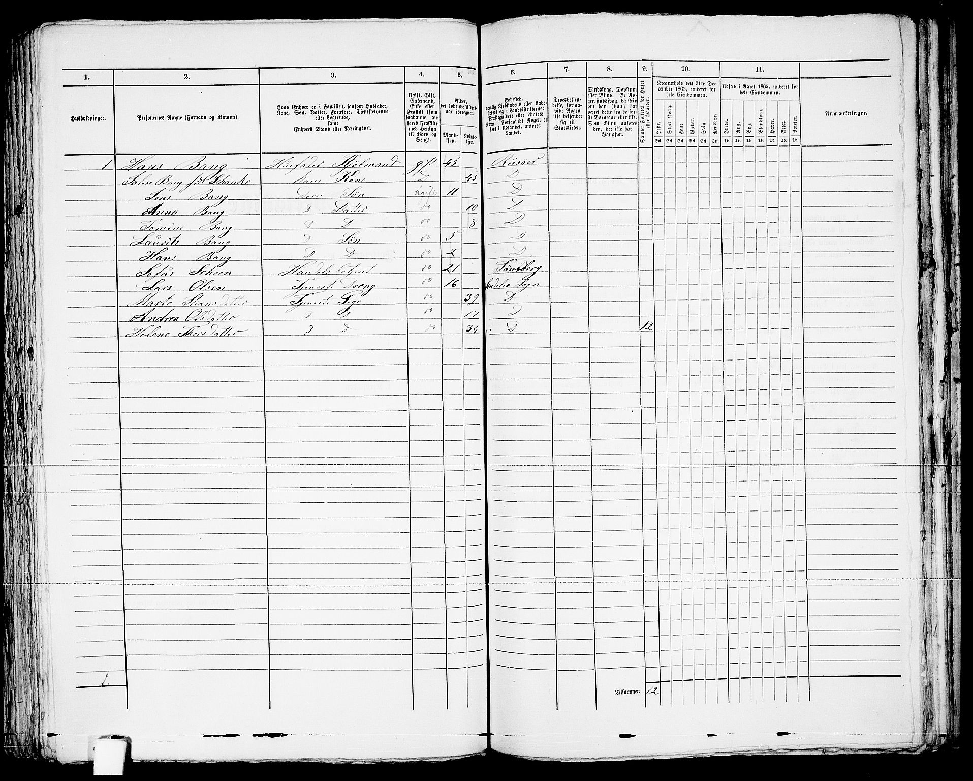 RA, 1865 census for Risør/Risør, 1865, p. 263