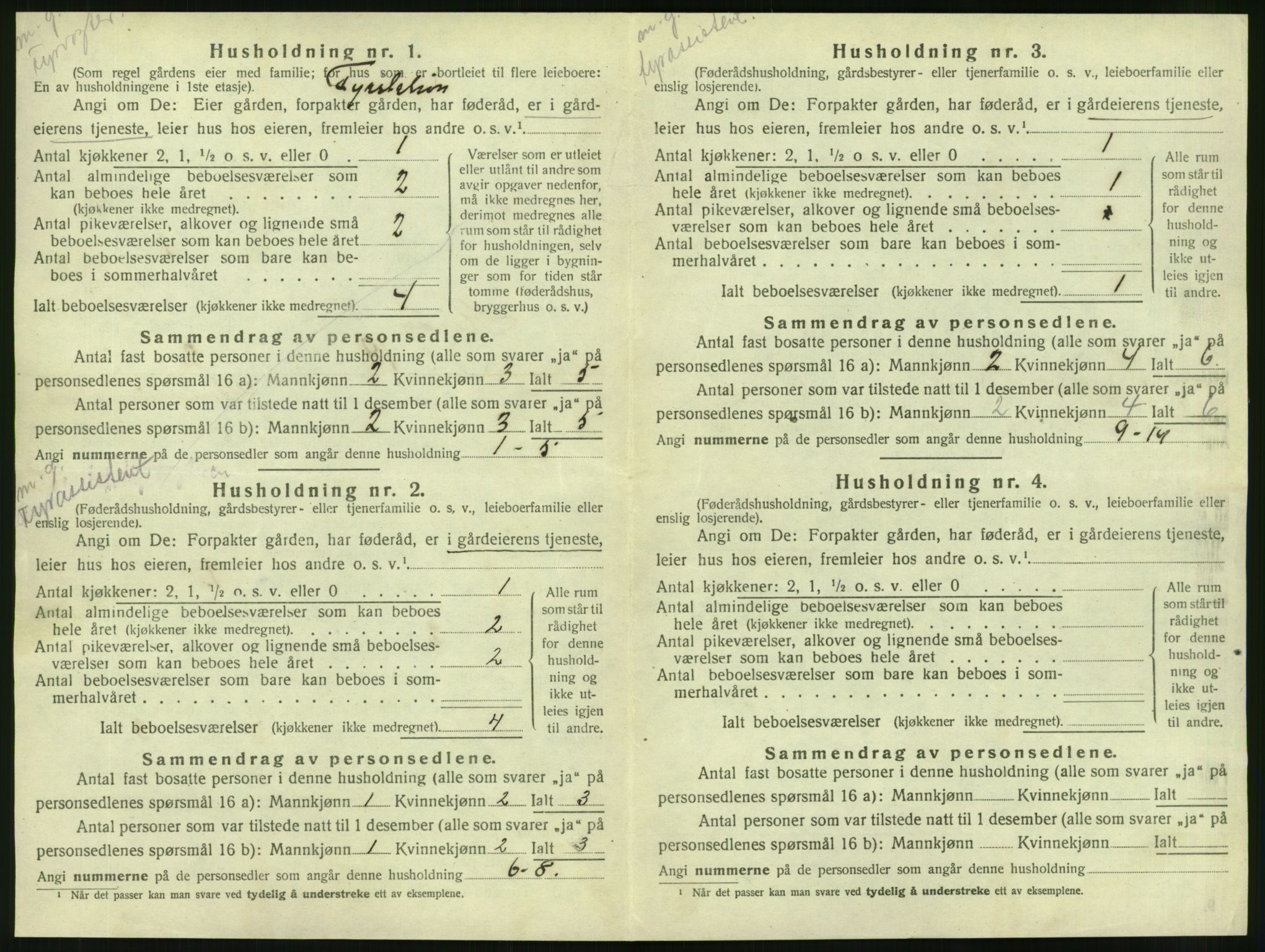 SAT, 1920 census for Herøy, 1920, p. 917