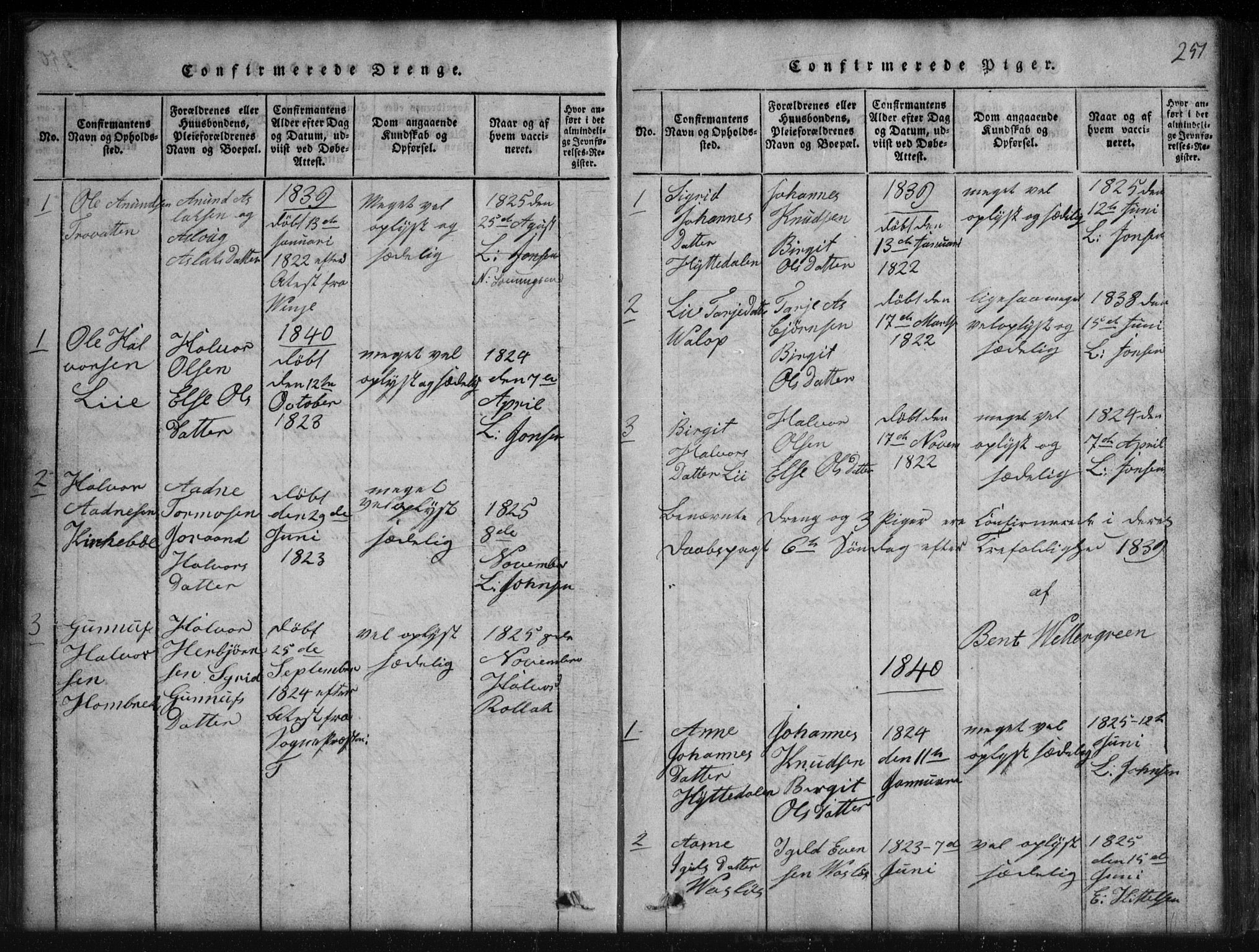 Rauland kirkebøker, AV/SAKO-A-292/G/Gb/L0001: Parish register (copy) no. II 1, 1815-1886, p. 251