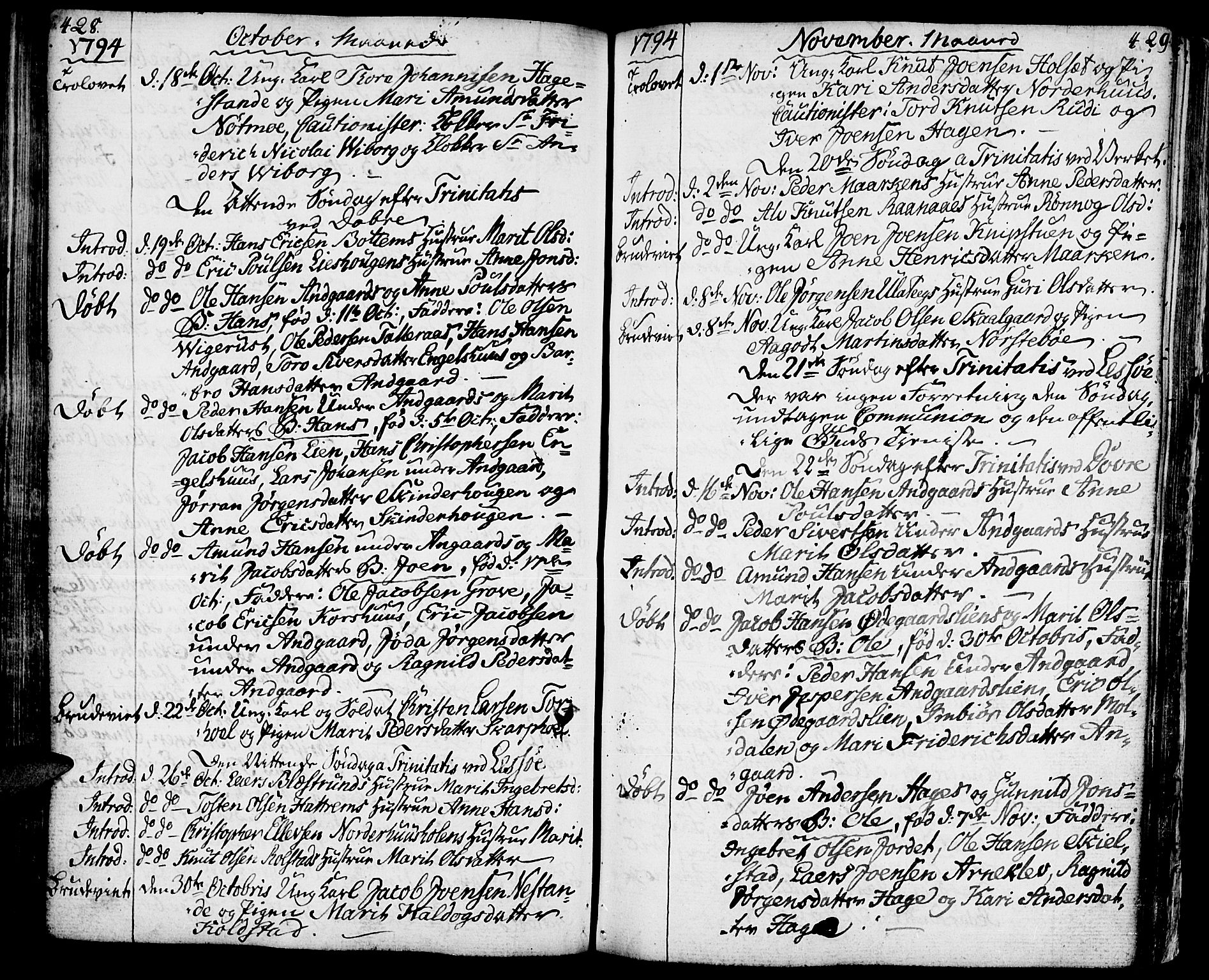 Lesja prestekontor, AV/SAH-PREST-068/H/Ha/Haa/L0003: Parish register (official) no. 3, 1777-1819, p. 428-429