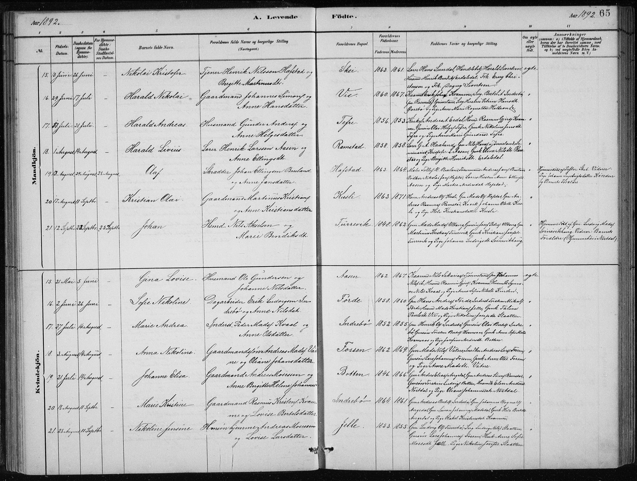 Førde sokneprestembete, AV/SAB-A-79901/H/Hab/Haba/L0002: Parish register (copy) no. A 2, 1881-1898, p. 65