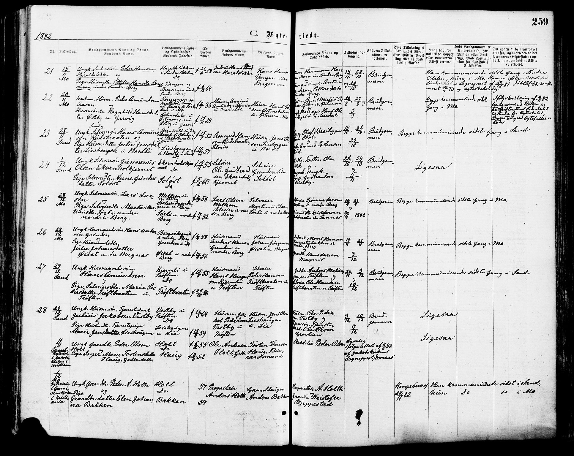 Nord-Odal prestekontor, SAH/PREST-032/H/Ha/Haa/L0005: Parish register (official) no. 5, 1874-1885, p. 259