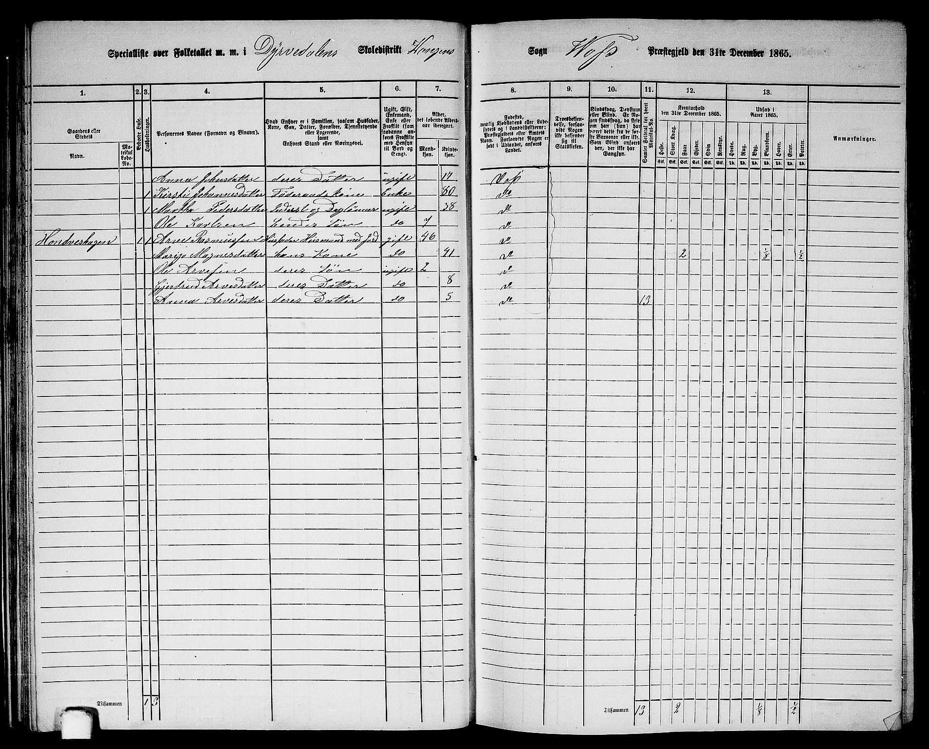 RA, 1865 census for Voss, 1865, p. 41