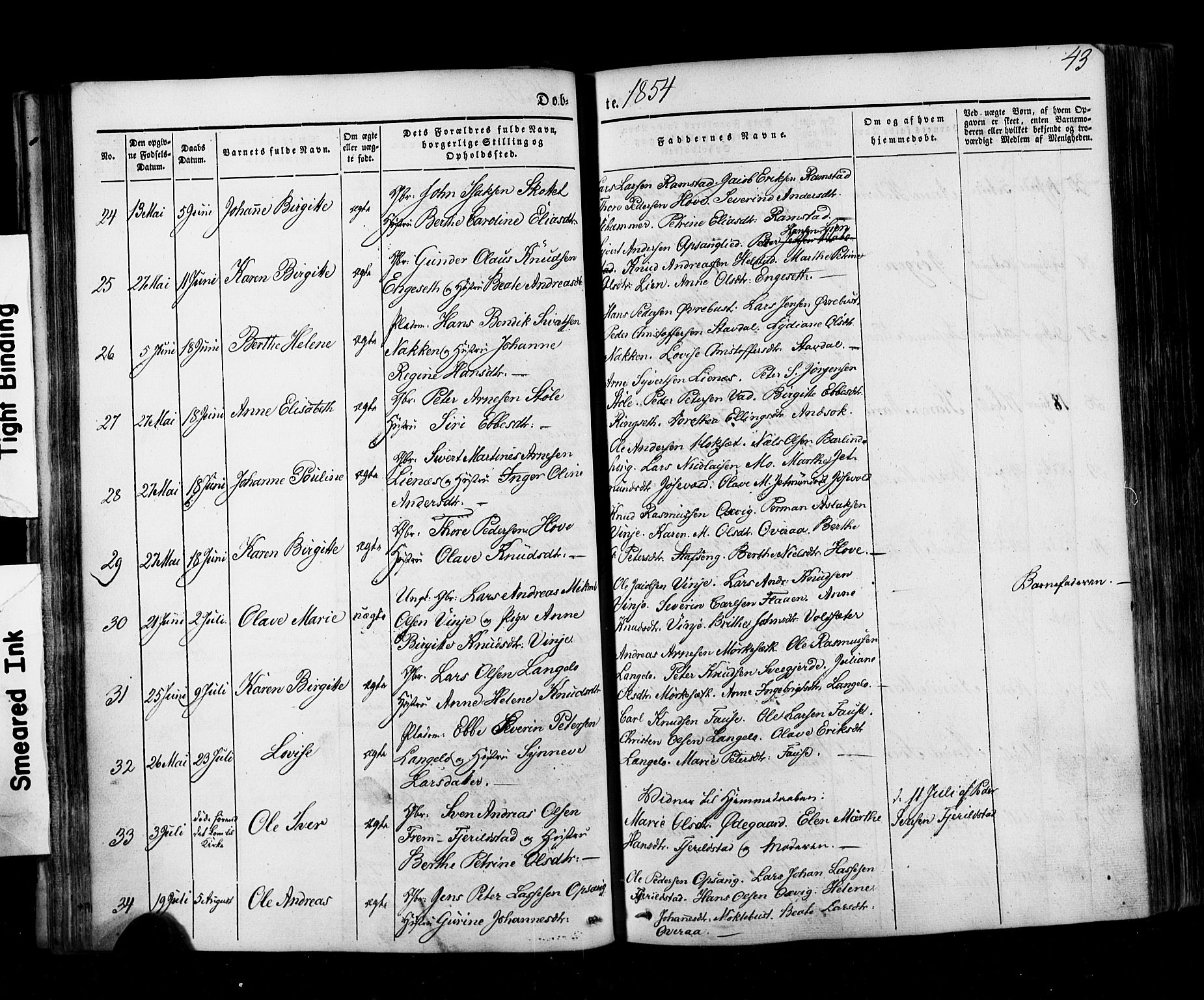 Ministerialprotokoller, klokkerbøker og fødselsregistre - Møre og Romsdal, AV/SAT-A-1454/520/L0275: Parish register (official) no. 520A05, 1844-1881, p. 43