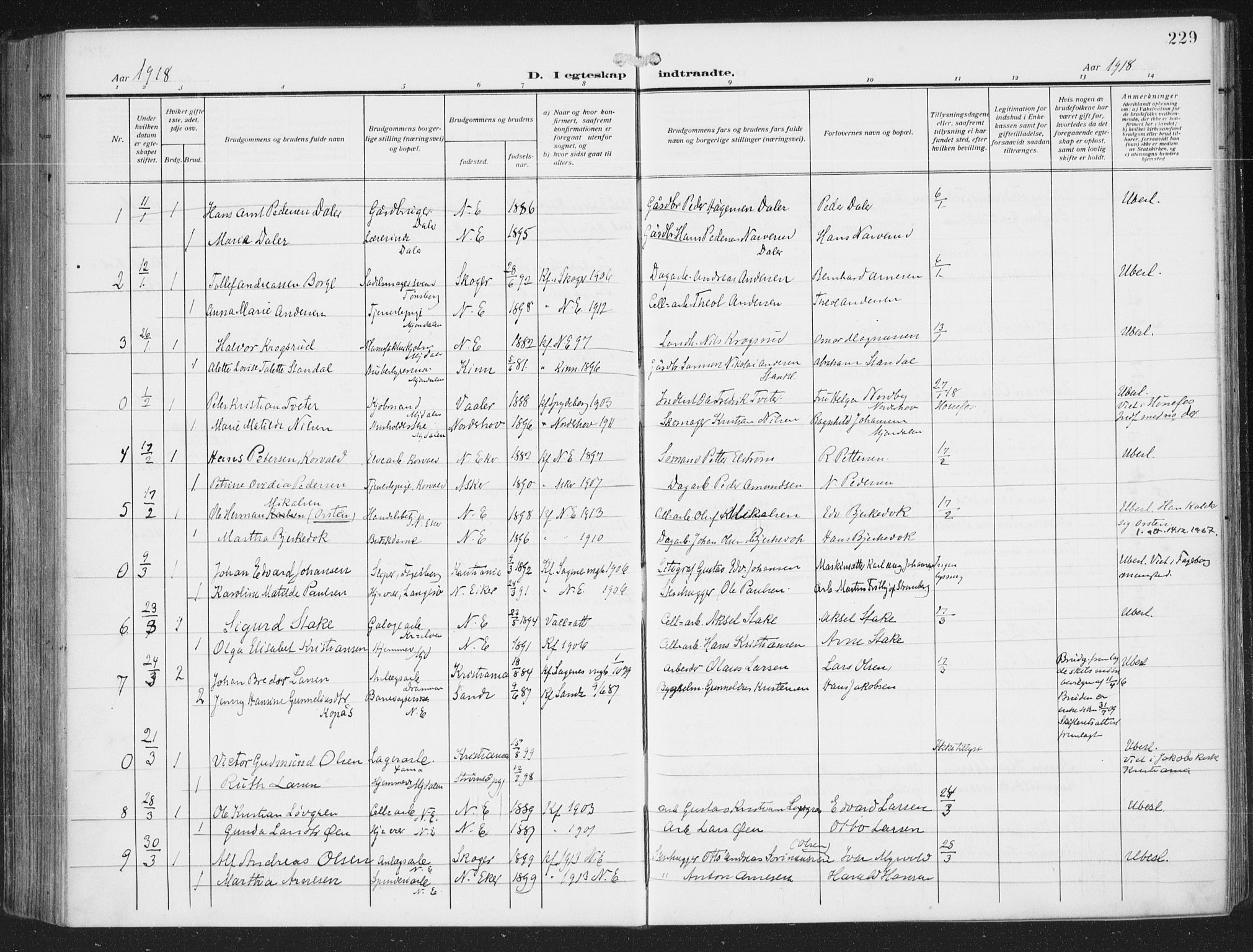 Nedre Eiker kirkebøker, AV/SAKO-A-612/F/Fa/L0007: Parish register (official) no. 7, 1912-1918, p. 229