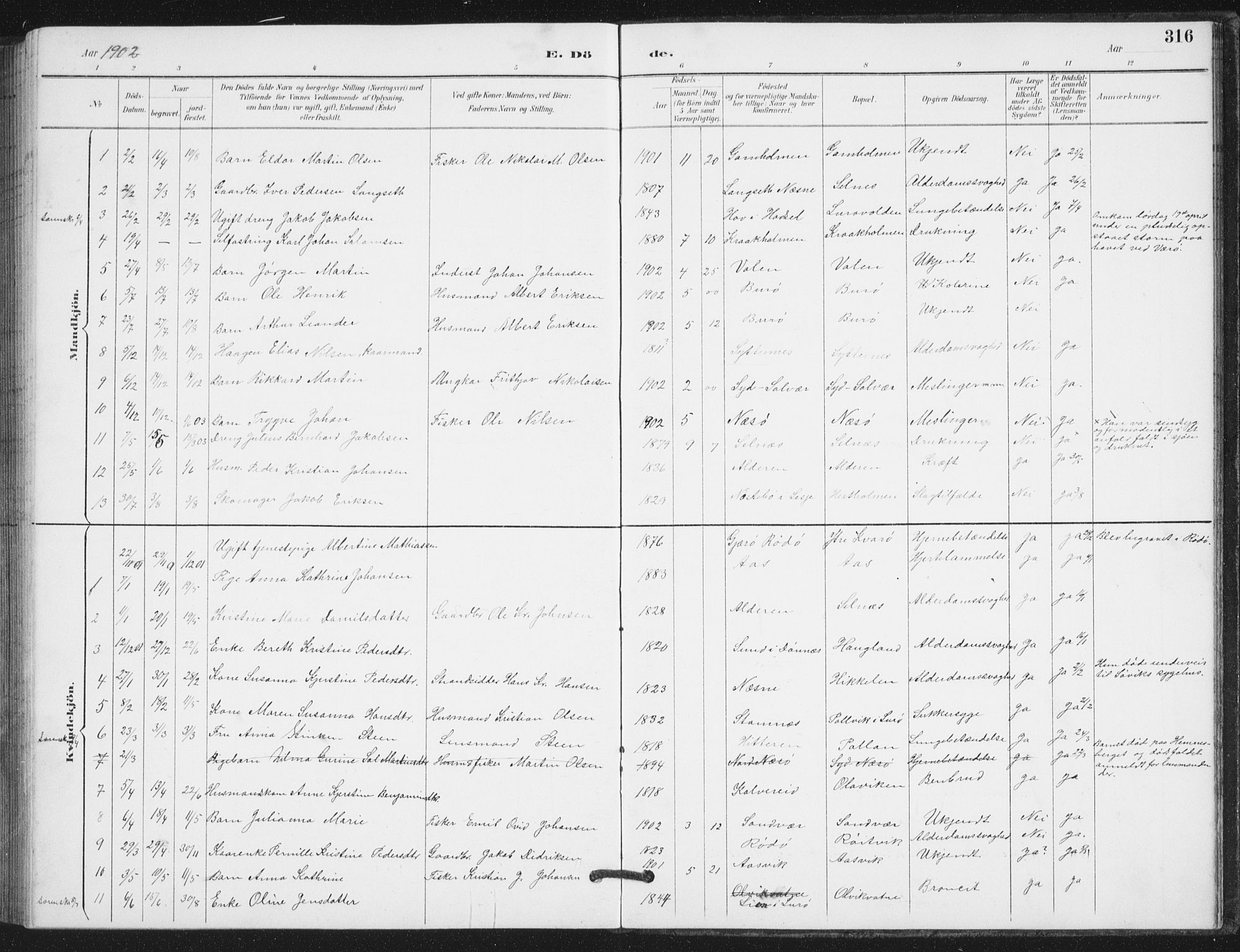 Ministerialprotokoller, klokkerbøker og fødselsregistre - Nordland, AV/SAT-A-1459/839/L0573: Parish register (copy) no. 839C03, 1892-1917, p. 316